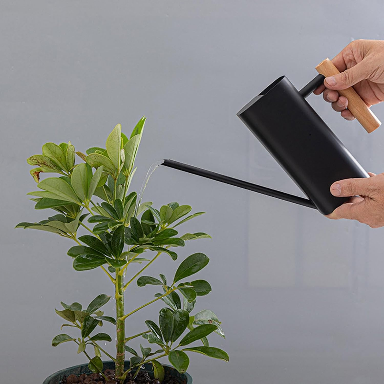 Manual Watering Kettle - Watering Kettle Gardening Spray Kettle, Long Spout Flowers Watering Kettle | Rust-Proof Gardening Spray Kettle, Perfect Watering Solution Spray Bottle for Indoor and Outdoor image number 6