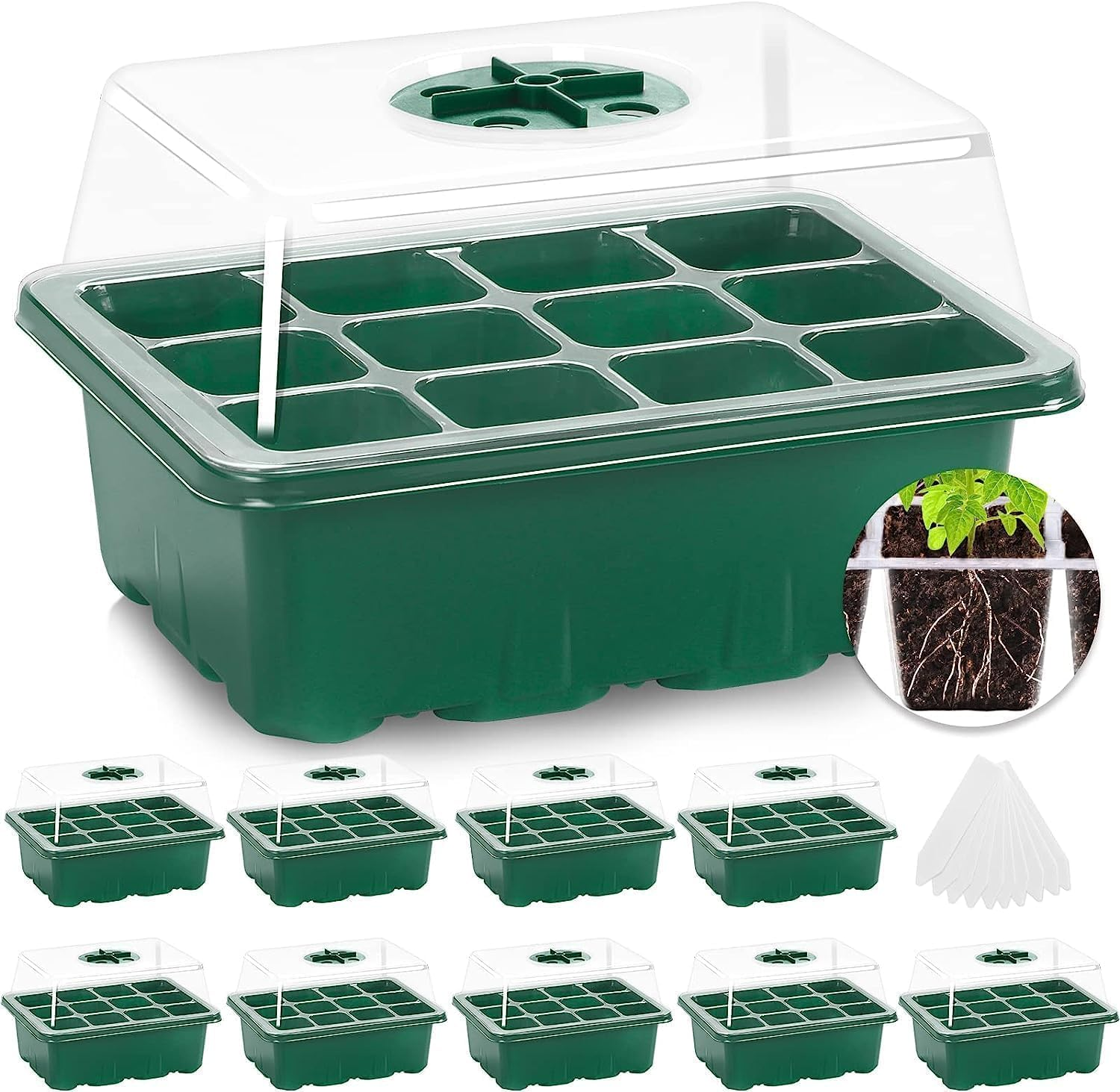 Cozioz 10-Pack Seed Starter Tray Kit with Humidity Dome &ndash; 120 Cells Total, Mini Greenhouse for Seed Germination & Plant Growth