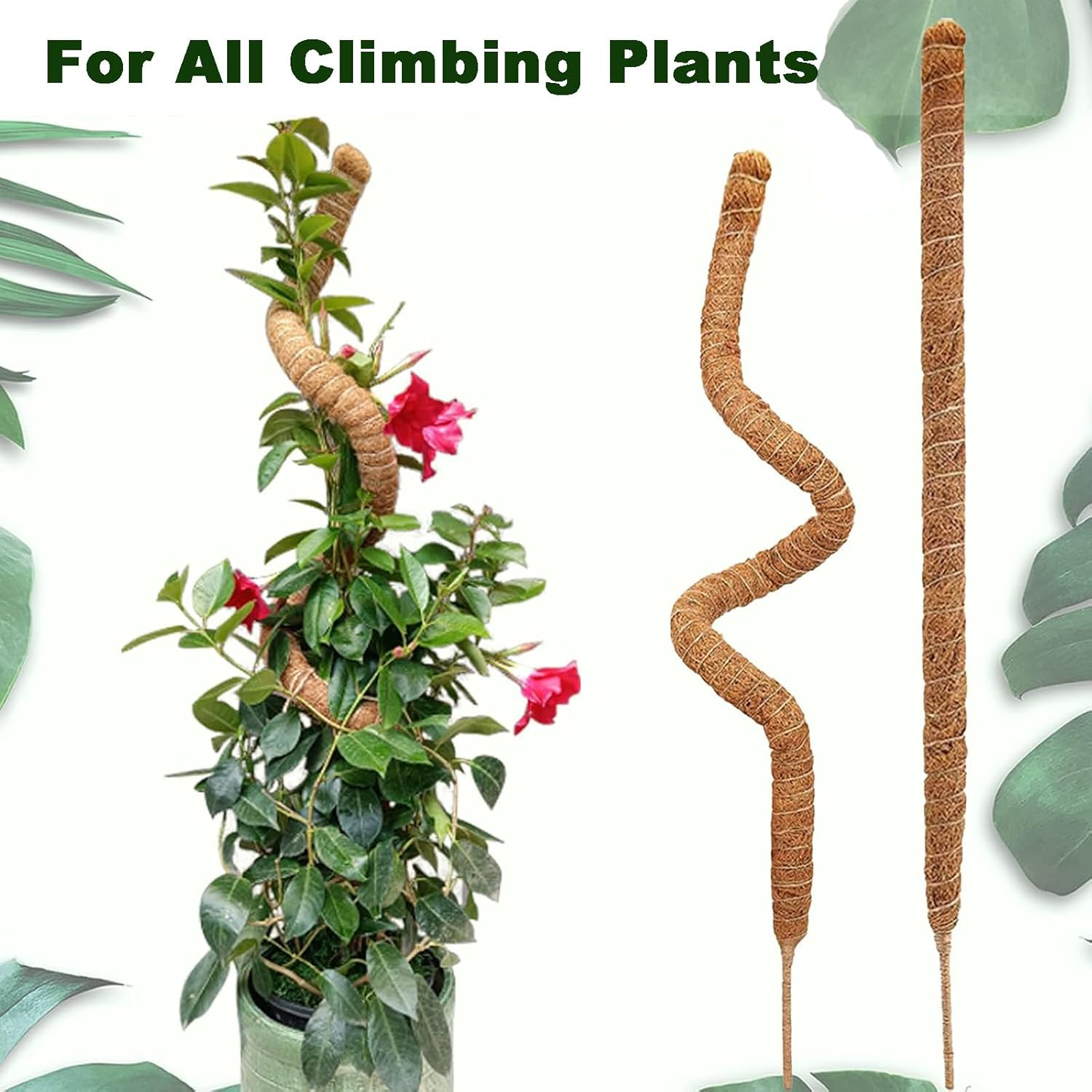 2Pack Moss Pole for Plant Monstera, Bendable Moss Pole for Climbing Plant Moss Pole for Plants Indoor, Plant Support Stakes for Indoor Potted Plants to Grow 70CM (2-Pack 70CM)