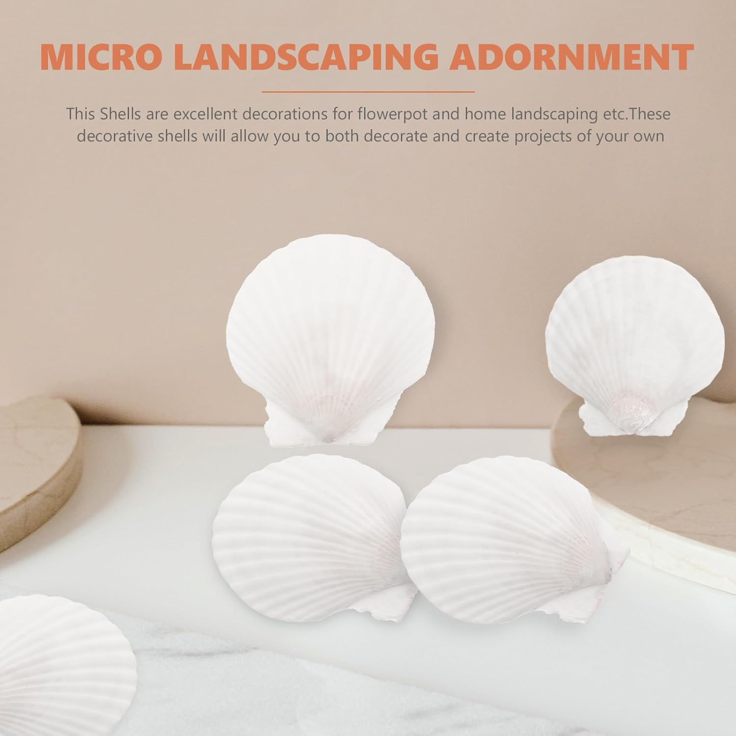 Yardwe Large Natural Scallop Shell Decoration Set 7X7 Inches White Seashells for DIY Crafts Home Decor Candle Making Aquarium Ornament Wreath Embellishment image number 6