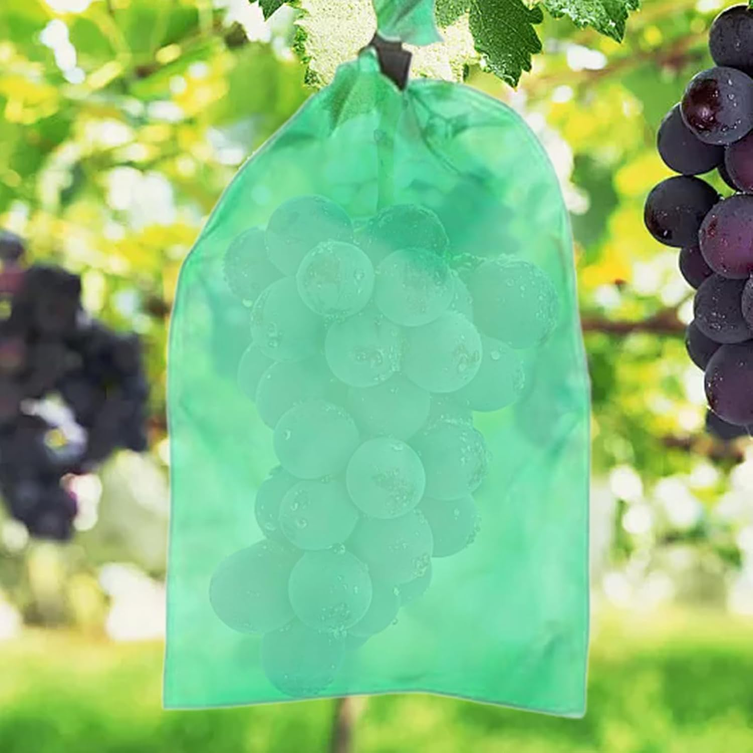 Grape Protection Bag | Non-Woven Mango Protective Bags with Drawstring | Gardening Supplies, Tear-Resistant Mesh Fruit Barrier for Protecting Veggies Vegetables Tomato Flower Mango image number 3