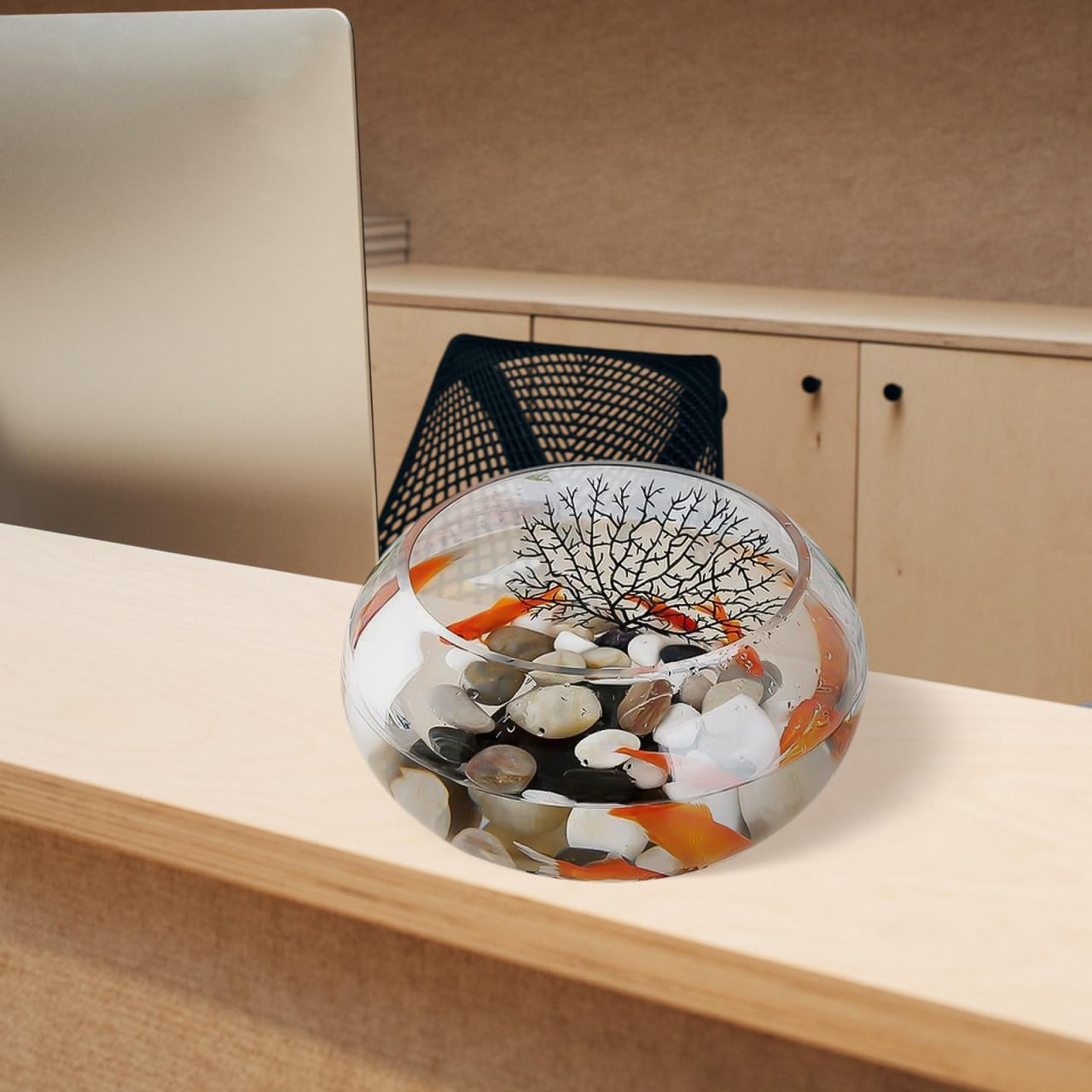 Kisangel Large round Glass Fish Bowl Transparent Glass Fish Tank Terrarium Bowls for Home Office Decoration Plant Vase Planter image number 1