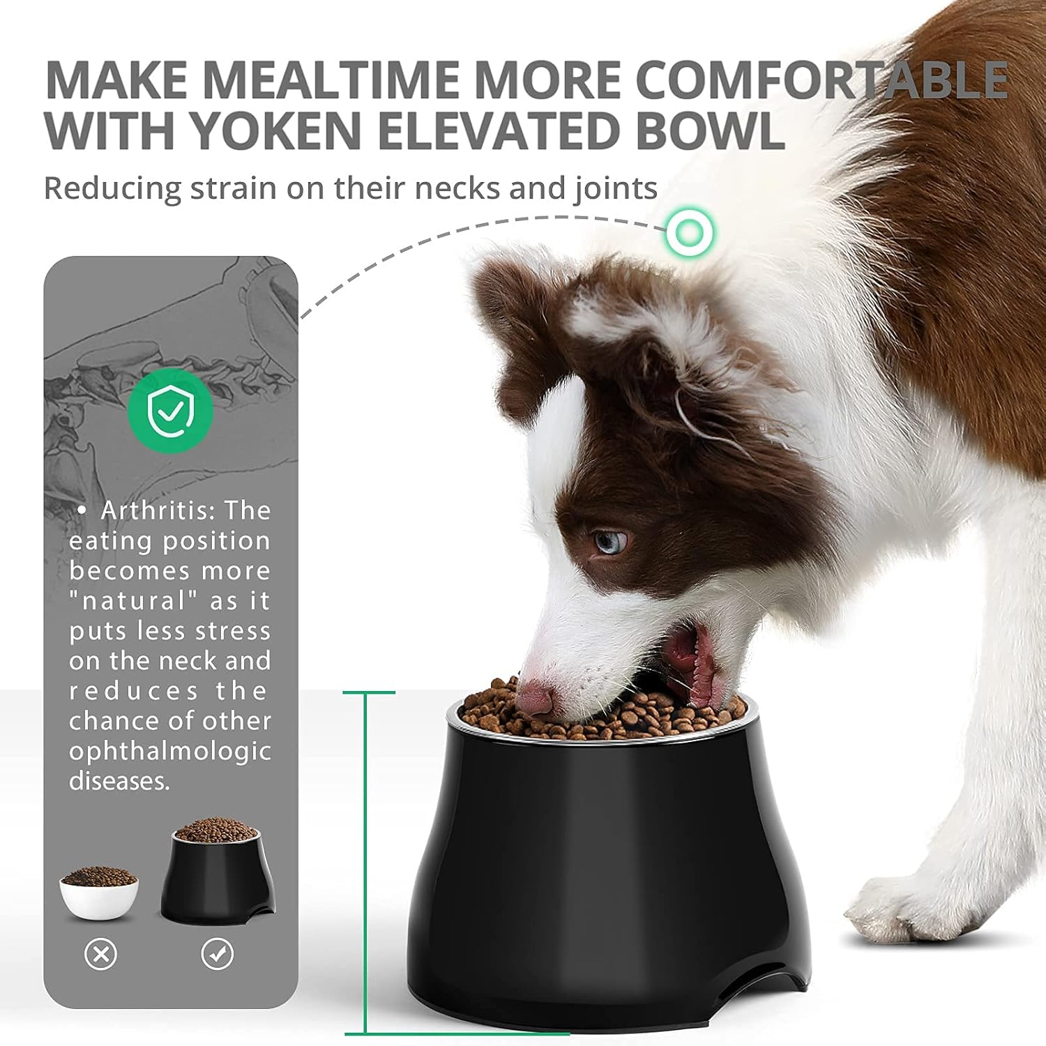 Yoken Sturdy Elevated Dog Bowls 2 Packs, [Prevention of Vertebrae Disease] [2X Non-Slip] Dog Food Bowls with Stainless Steel Bowl, High Capacity Water Bowl Colorful Raised Bowl for Medium Small Dogs image number 1