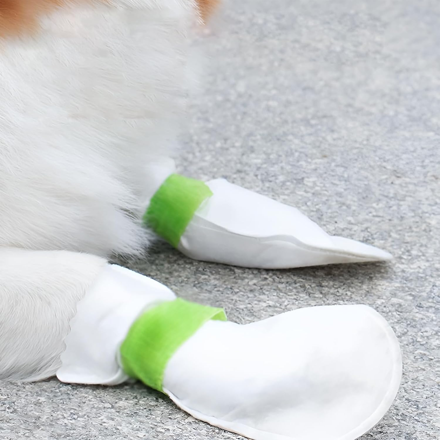 INCAUCA 20 Piece Disposable Dog Booties for Large Dogs, Waterproof Disposable Dog Shoes with Adhesive Bandage, Dog Foot Covers Socks, Paw Protector for Pet Doggy Puppy inside outside Walking, L image number 3