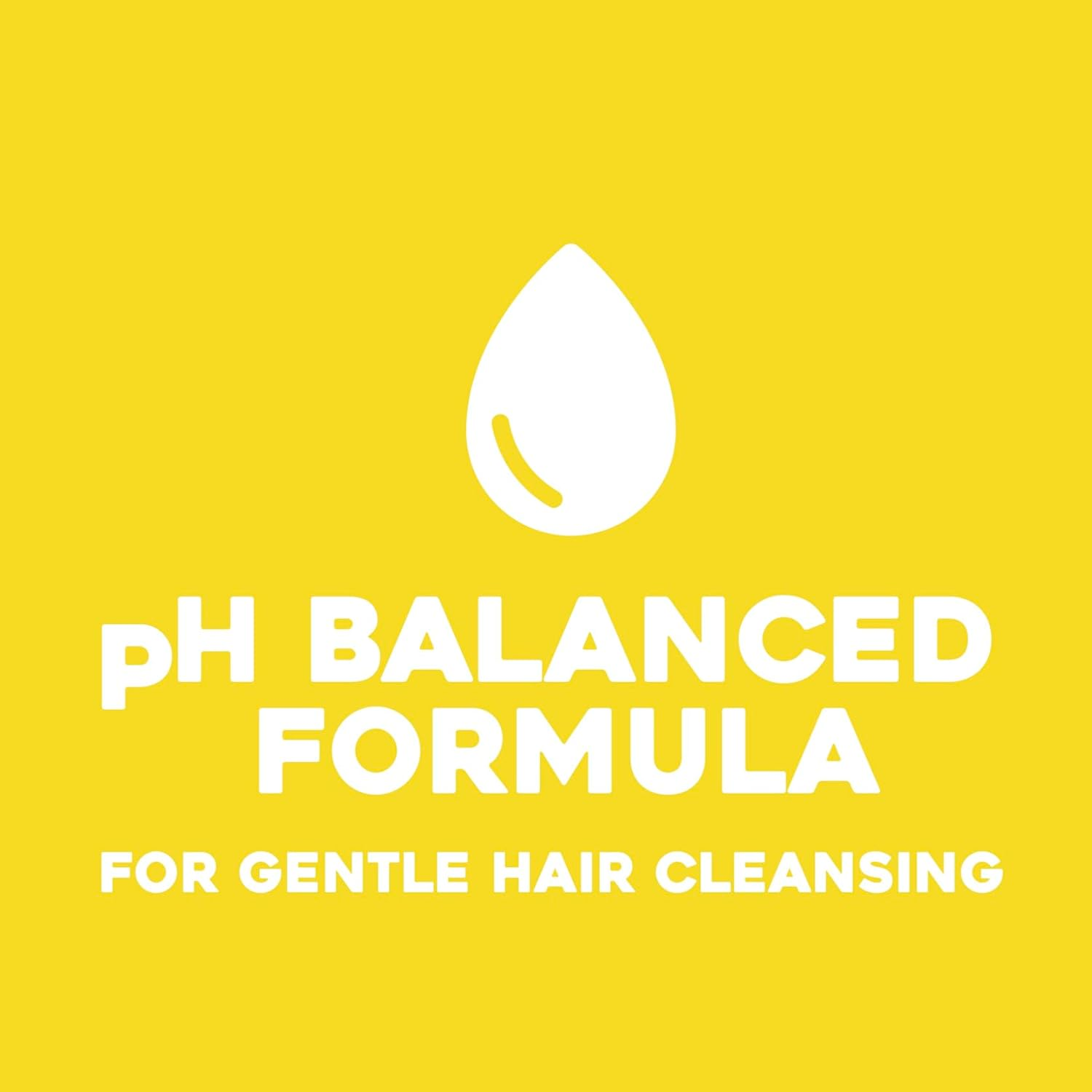 OGX Kukui Oil Shampoo, Hydrate plus Defrizz, 13 Ounce