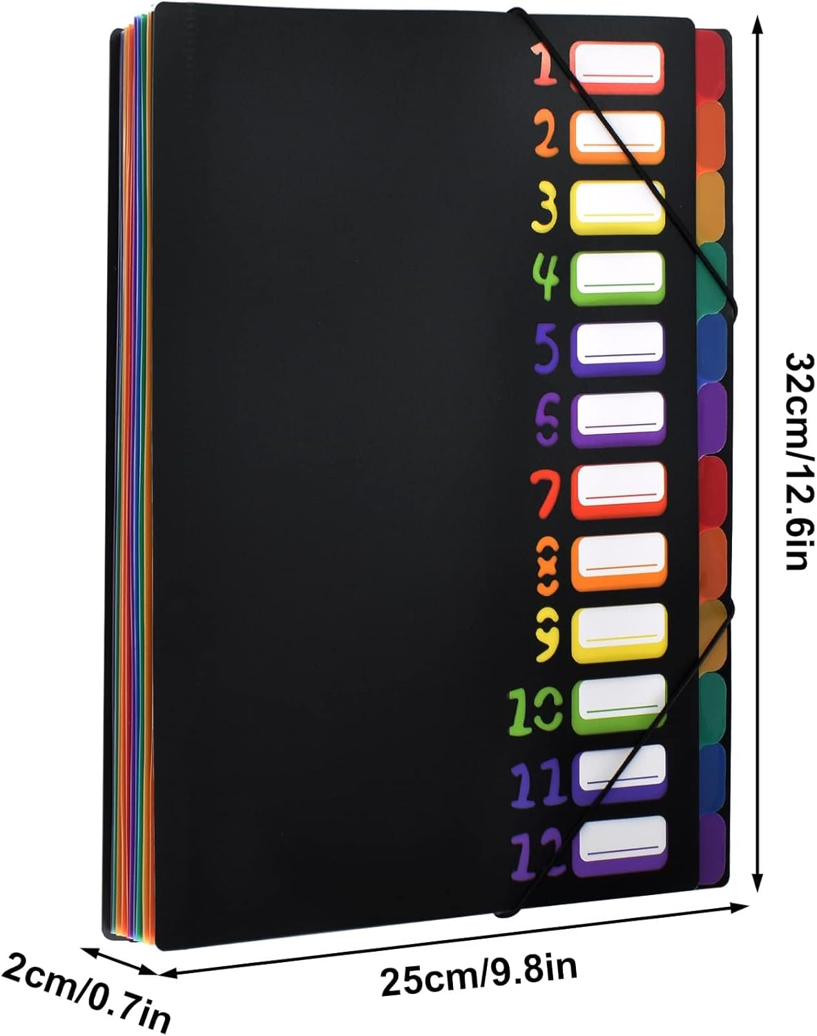 Expanding File Folder Project Binder A4 Organizer Desk Binder 12 Compartments 24 Pockets Plastic Accordion Document Organizer Colorful File Folders for School Office Supplies, Black image number 2