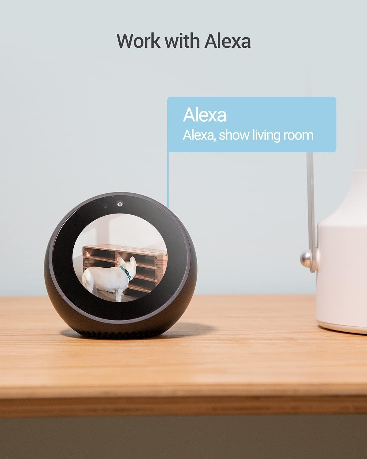 EZVIZ Security Camera, PTZ 360 1080P Indoor Wifi Camera, Home Surveillance Camera, Motion Tracking, Night Vision, 2-Way Audio, Baby/Pet Monitor, Sd/Icloud Storage, Alexa, Google Assistant (C6N Black)