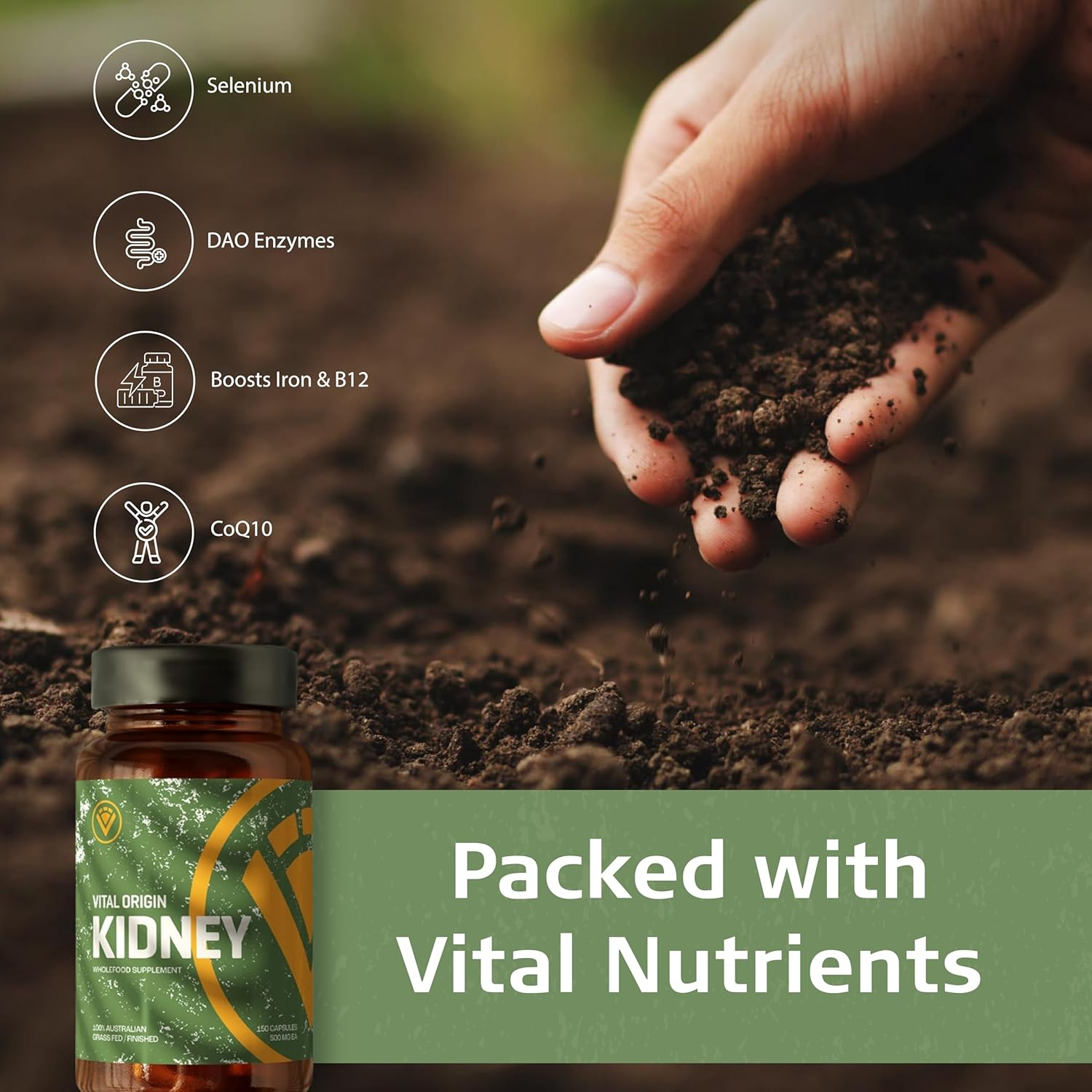 Beef Kidney Capsules | Regenerative Grass-Fed & Finished | Natural DAO, Selenium, Iron, B12 | Skin, Hair, Nails, Allergies | 120 Capsules image number 1