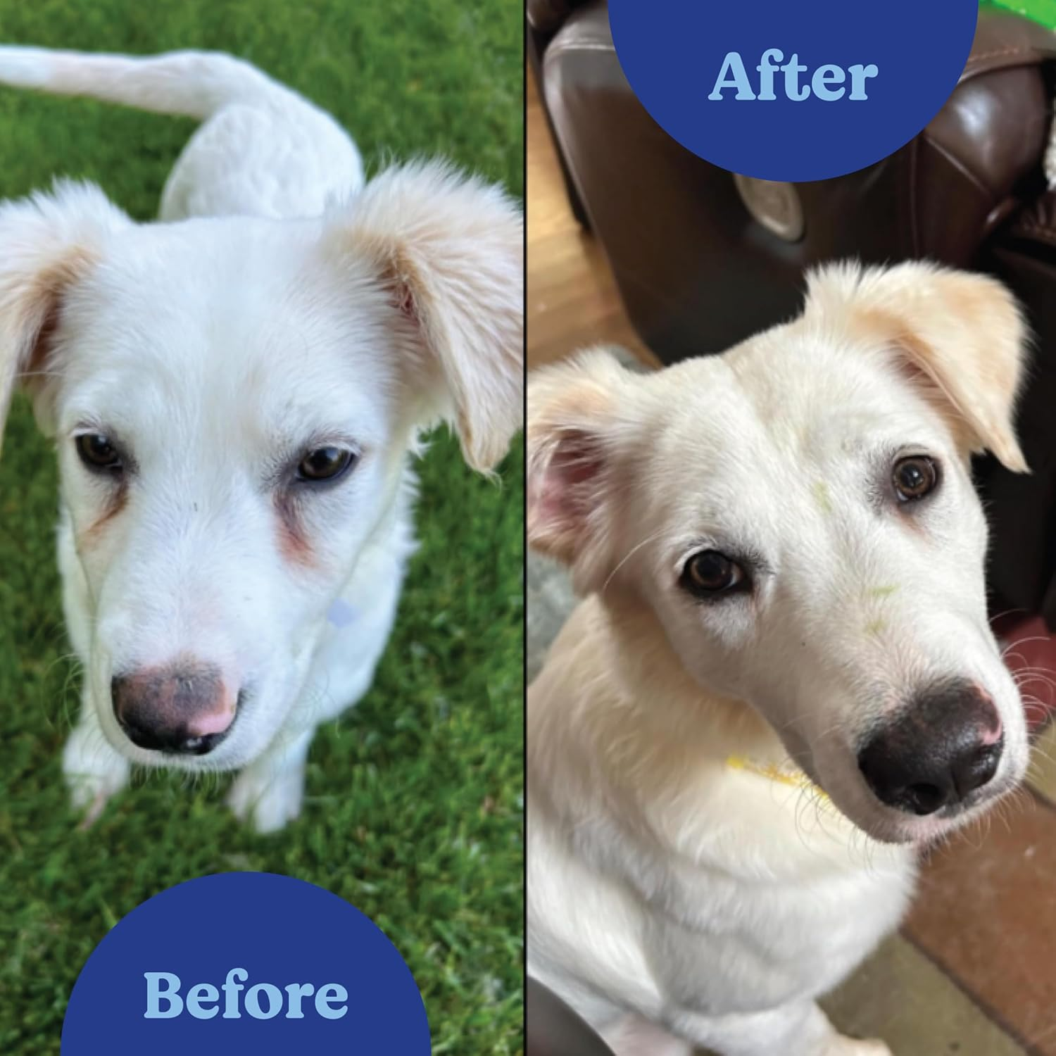 Angels' Eyes Tear Stain Eliminator-Rem image number 5