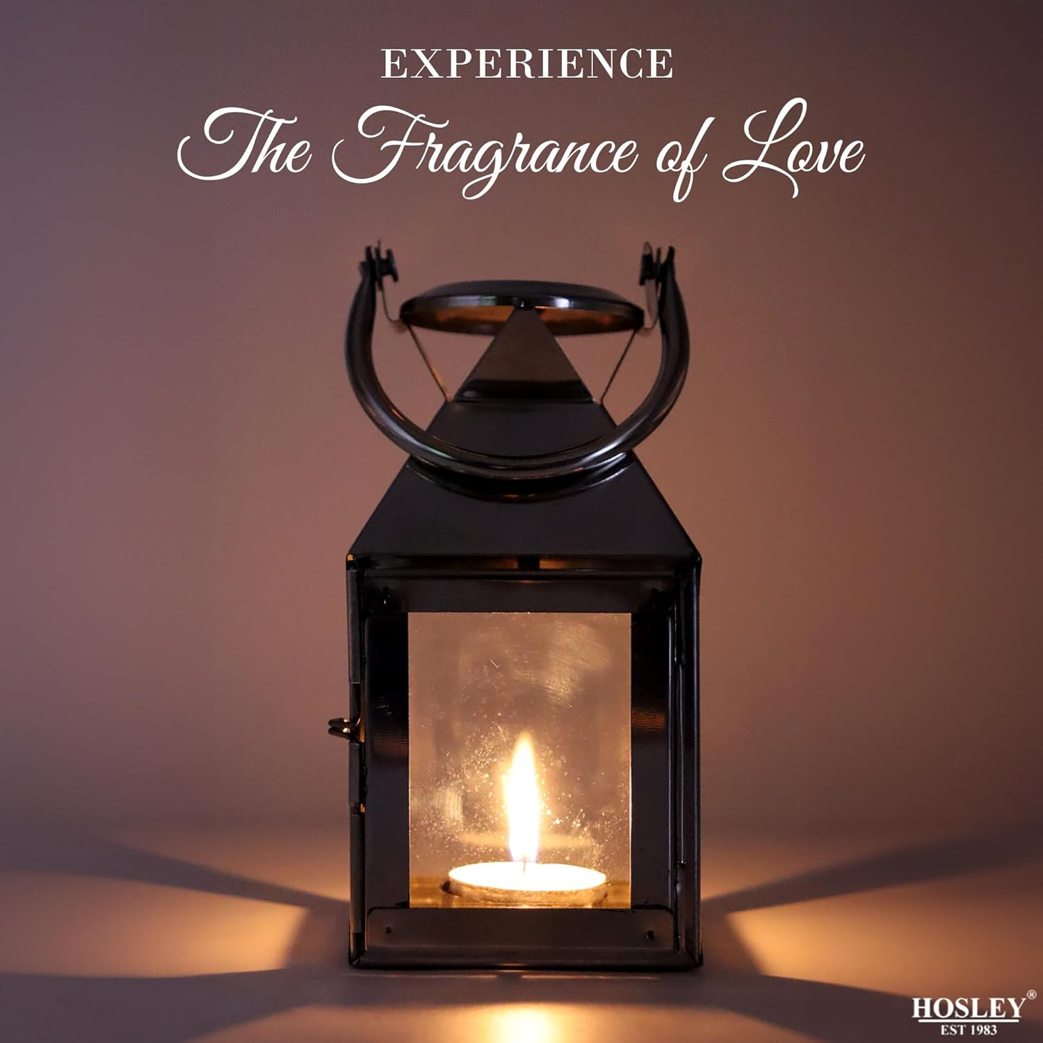 Hosley&reg; Classic Style Glass Stainless Steel Lantern with One Tealight Candle, Hanging Lantern Perfect for Home Decor, Wedding, Parties - Tealight Holder, 3 Inch Diameter(Pack of 1, 6.5 Inch Long) image number 5