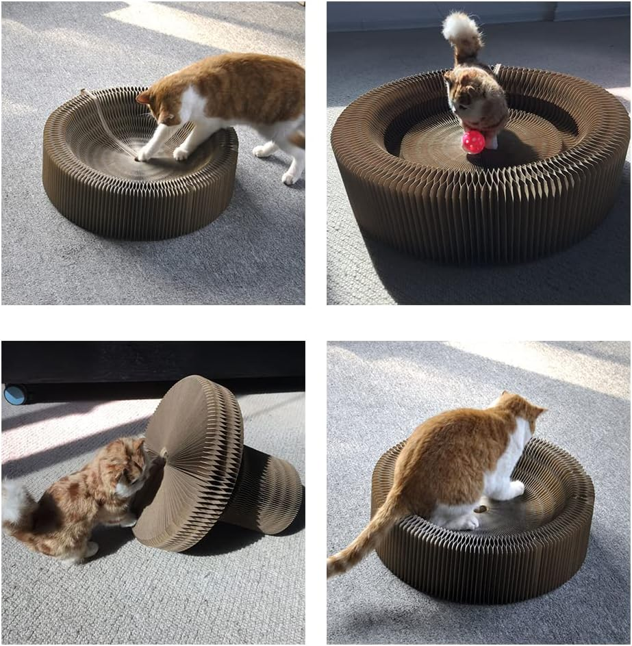 Asarly Magic Cat Scratching Board with Scratching Claws for Cats, Foldable Corrugated Cat Scratcher Kitten Toy - Can Be Folded into Many Shapes! image number 6