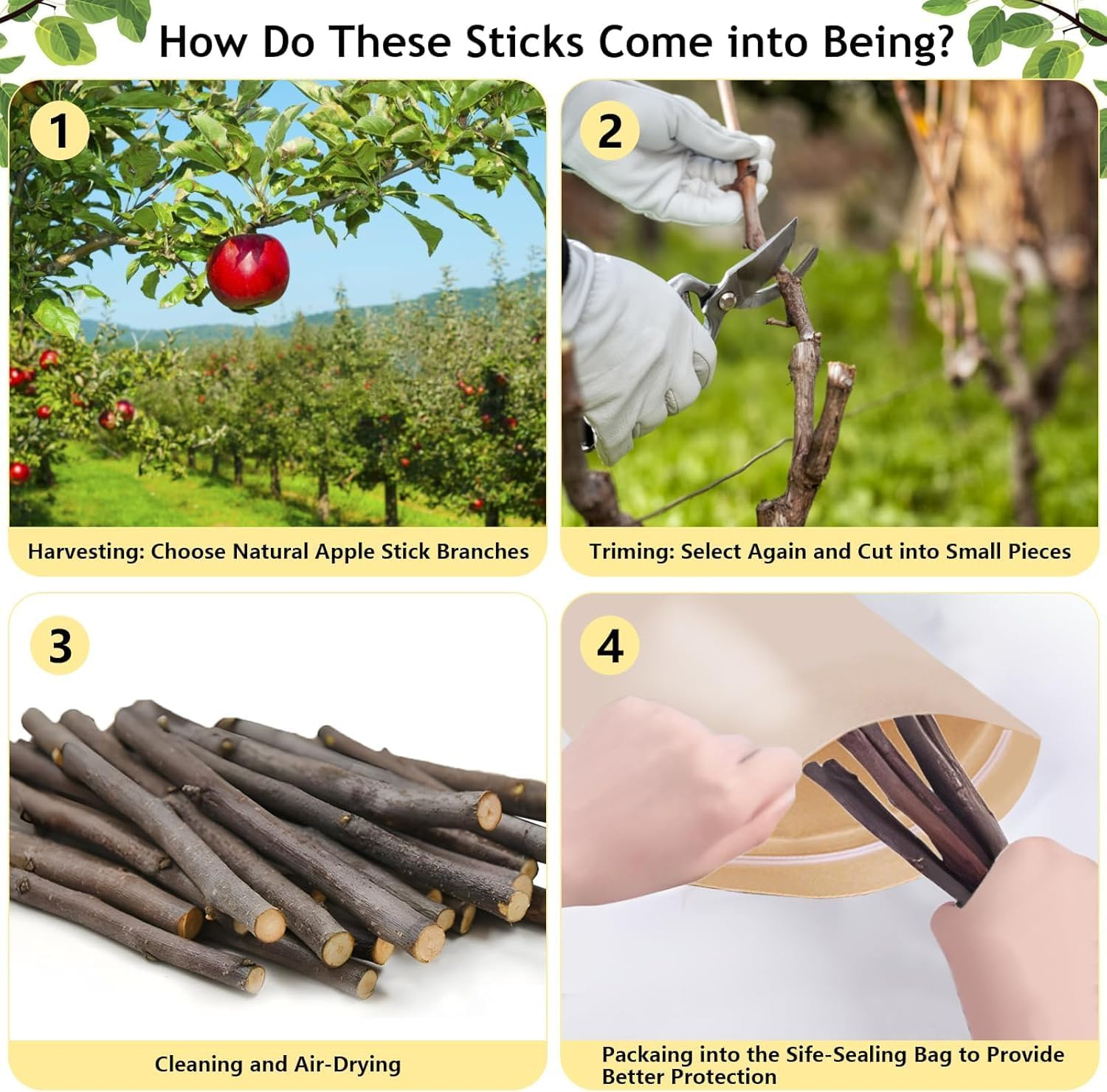 JCBCKJ Apple Sticks Small Animals Molar Wood Treats Toys for Rabbits Chinchillas Guinea Pig Hamster Gerbil Bunny and Small Animal Chew Stick Toys (50G) image number 5