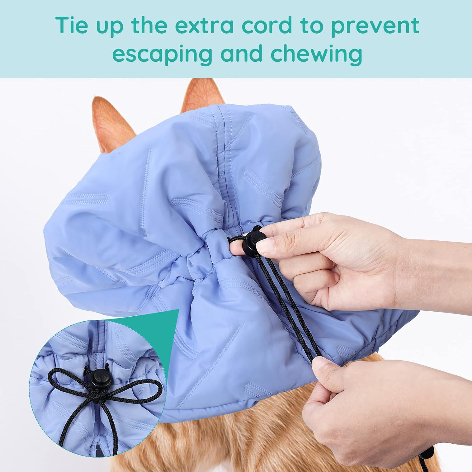Cat Recovery Collar, Soft Adjustable Cat Cone Alternative, Lightweight Waterproof Fasteners Collars for Cats Kittens Puppies, after Surgery Stop Licking and Daily Use (Blue, M(Neck7.9-13.8")) image number 4