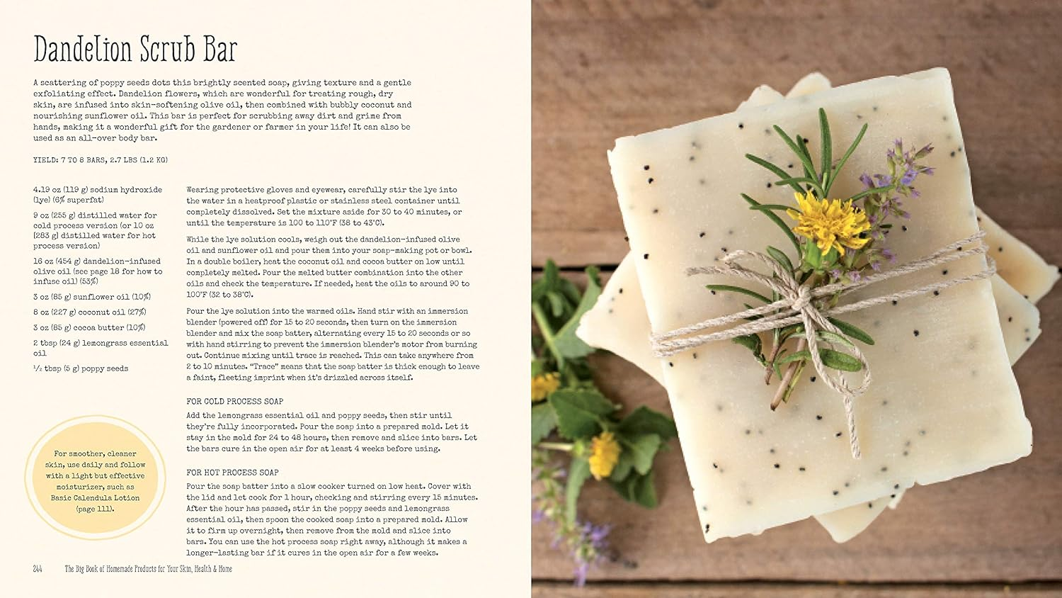 The Big Book of Homemade Products for Your Skin, Health and Home: Easy, All-Natural DIY Projects Using Herbs, Flowers and Other Plants image number 1