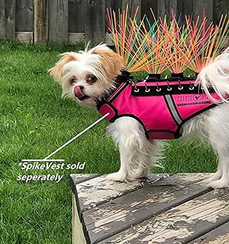 Coyotevest Coyotewhiskers Protection Nylon Bristles for Coyotevest or Spikevest Dog Harness Vest, Dog Accessories That Deter Coyote, Hawk and Raptor Attacks (Set of 4, Rainbow)