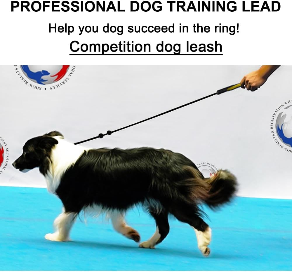 Beaugo Slip Leads for Dogs,Top Speed Training Dog Leash,2-In-1 Slip Collar Dog Training Lead & Collar,5Ft Thin Slip Lead,Sturdyand Durable, Leash Suitable for Small, Medium, and Large Dogs(Dark Green image number 3