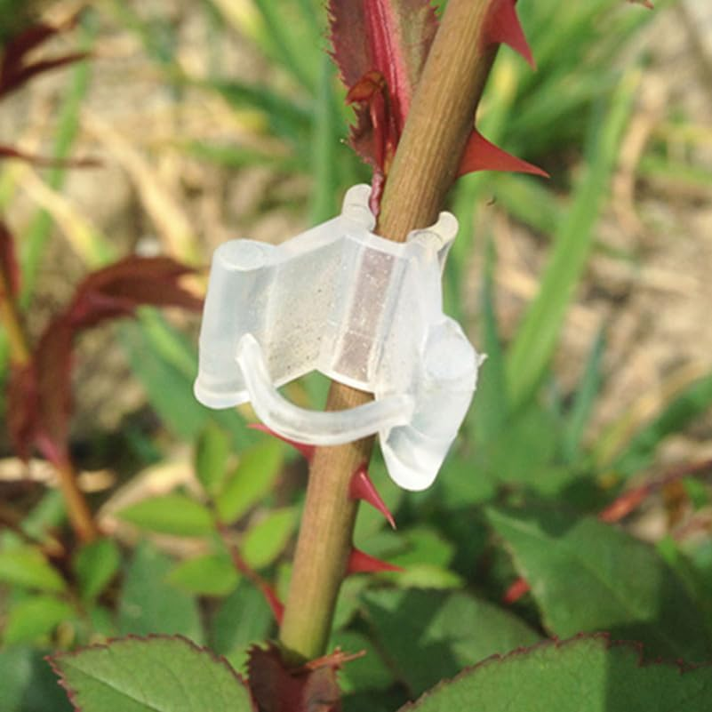 UPKOCH 200Pcs Sturdy Gardening Grafting Clips Plant Clips for Vine Stalks Plant Fixing Clamps image number 3