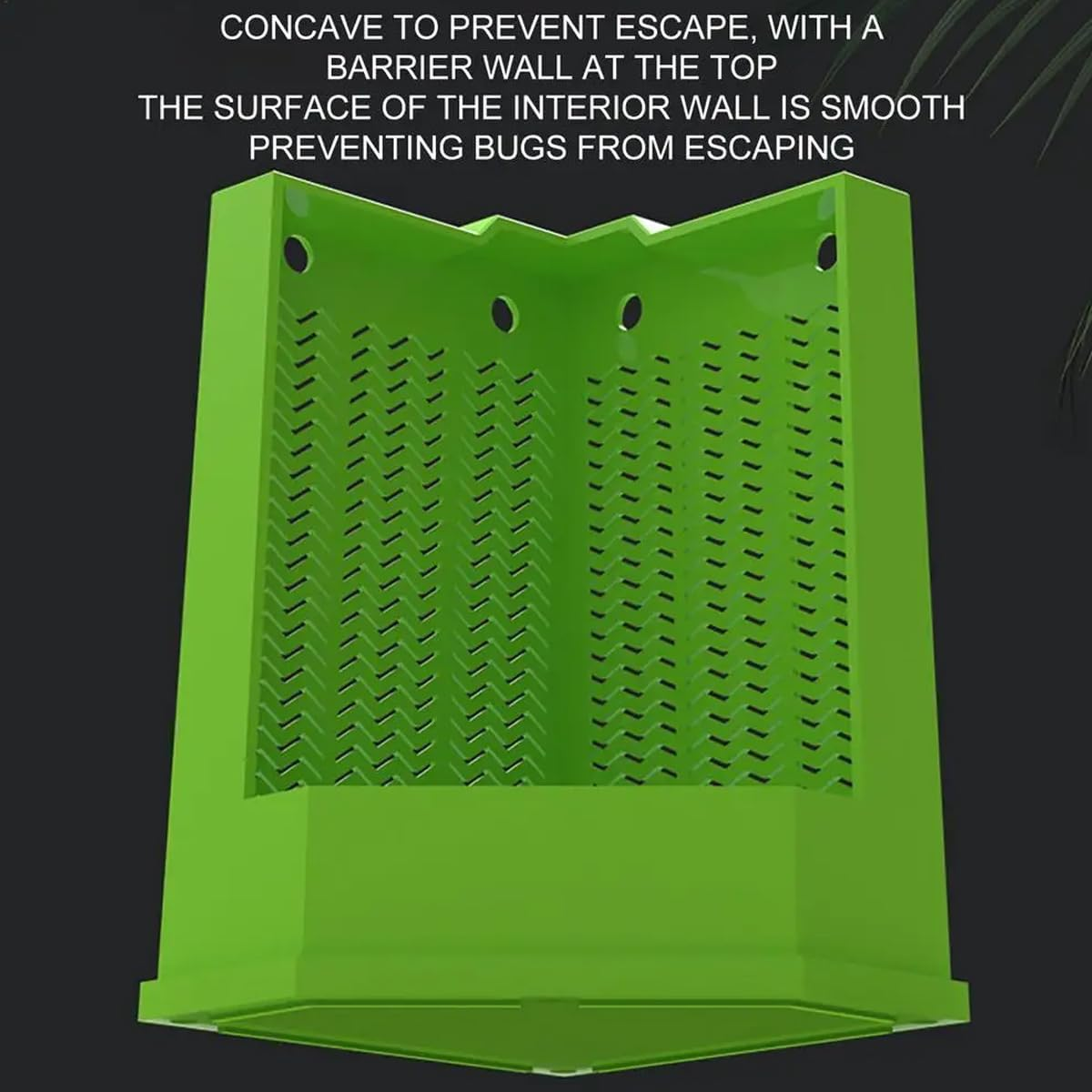 AIMALL Dual-Size Insect Feeder for Reptiles &ndash; Suction Cup Mounted Lizard and Gecko Feeding Station, Ant-Escape Design, Suitable for Various Climbing Pets image number 6