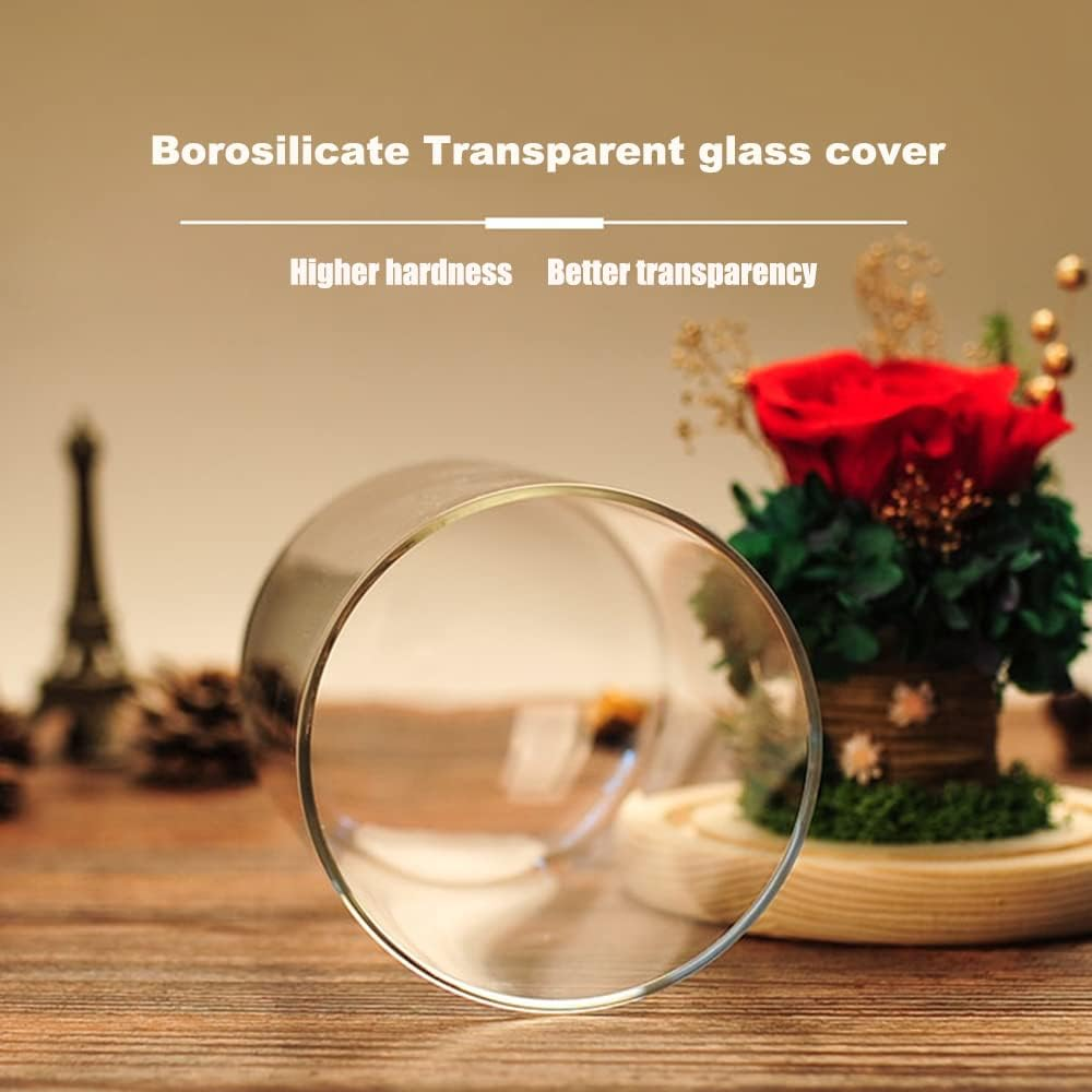 Eternal Rose Gift Set in Glass Dome - Purple | Preserved Rose with Moss Bear | Valentine'S Day Her | Romantic Home Decor | Long-Lasting Beauty (Purple) image number 2