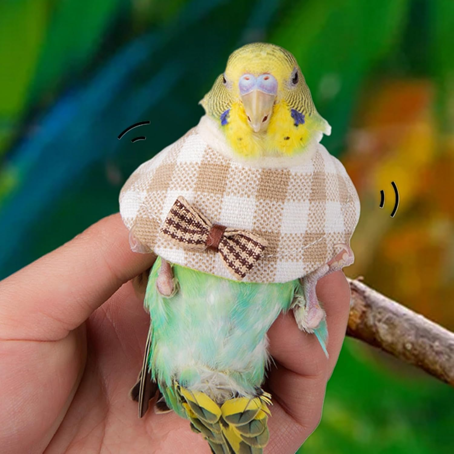 Rissunkv Pet Parrot Anti-Bite Collar, Comfortable Parrot Recovery Collar, Pet Bird Supplies Neck Cover for Cockatiels, Conures, Lovebirds or Parakeets image number 2