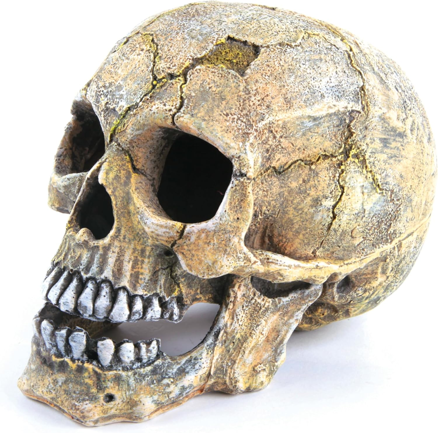 Kazoo Treasure Ornaments Skull, Large image number 1