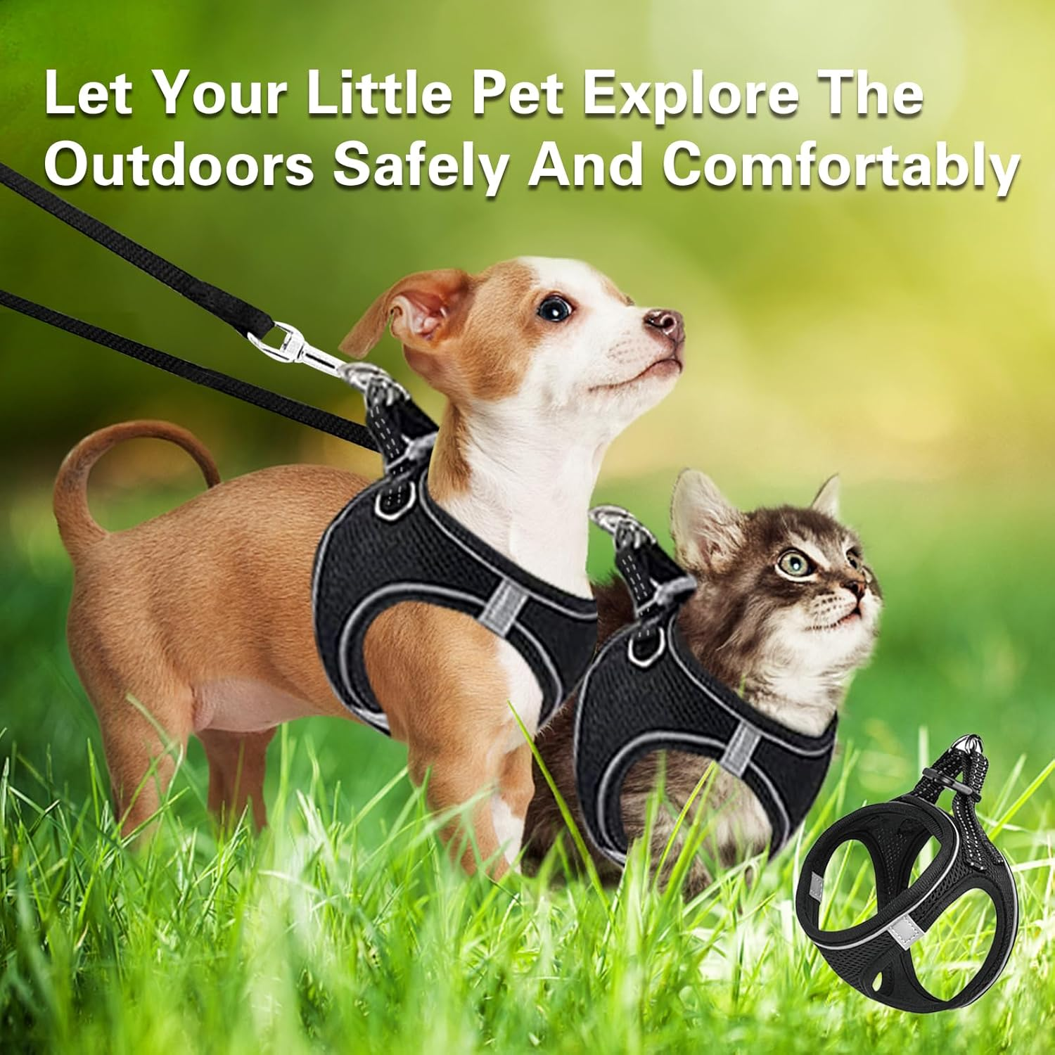 Cat Harness with Lead, Black Soft Harness, Cat Harness Harness, Cat Harness Lead Set, Harness for Cat, Chest Harness, Cat Harness, Cat Harness, Escape Proof, Adjustable, Black (S) image number 6