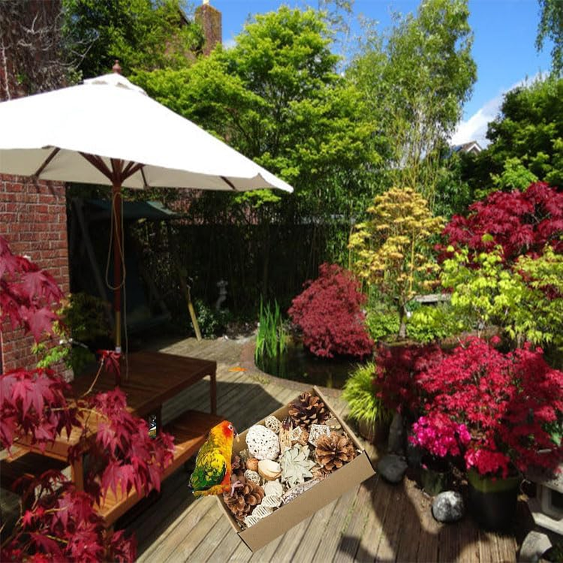 Limcryspp Natural Foraging and Biting Toy Box, an Interactive Biting Toy Suitable for Tiger Skin, Black Phoenix, Cone-Tailed, Peony Parrot and Small and Medium-Sized Birds image number 5