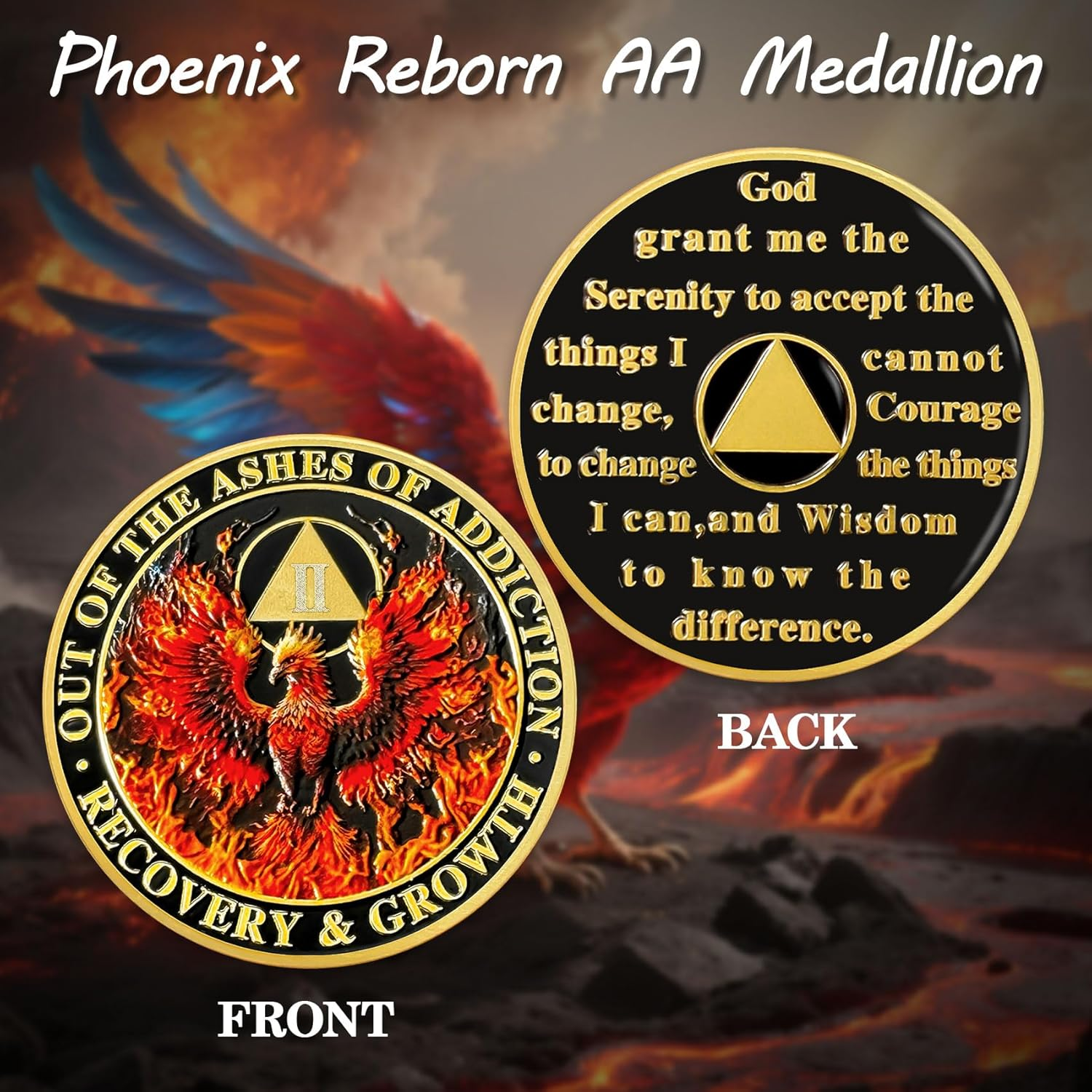 ACGZQY 2 Year Phoenix Sobriety Chip - Alcoholics Anonymous Recovery Gift for Men Women image number 2