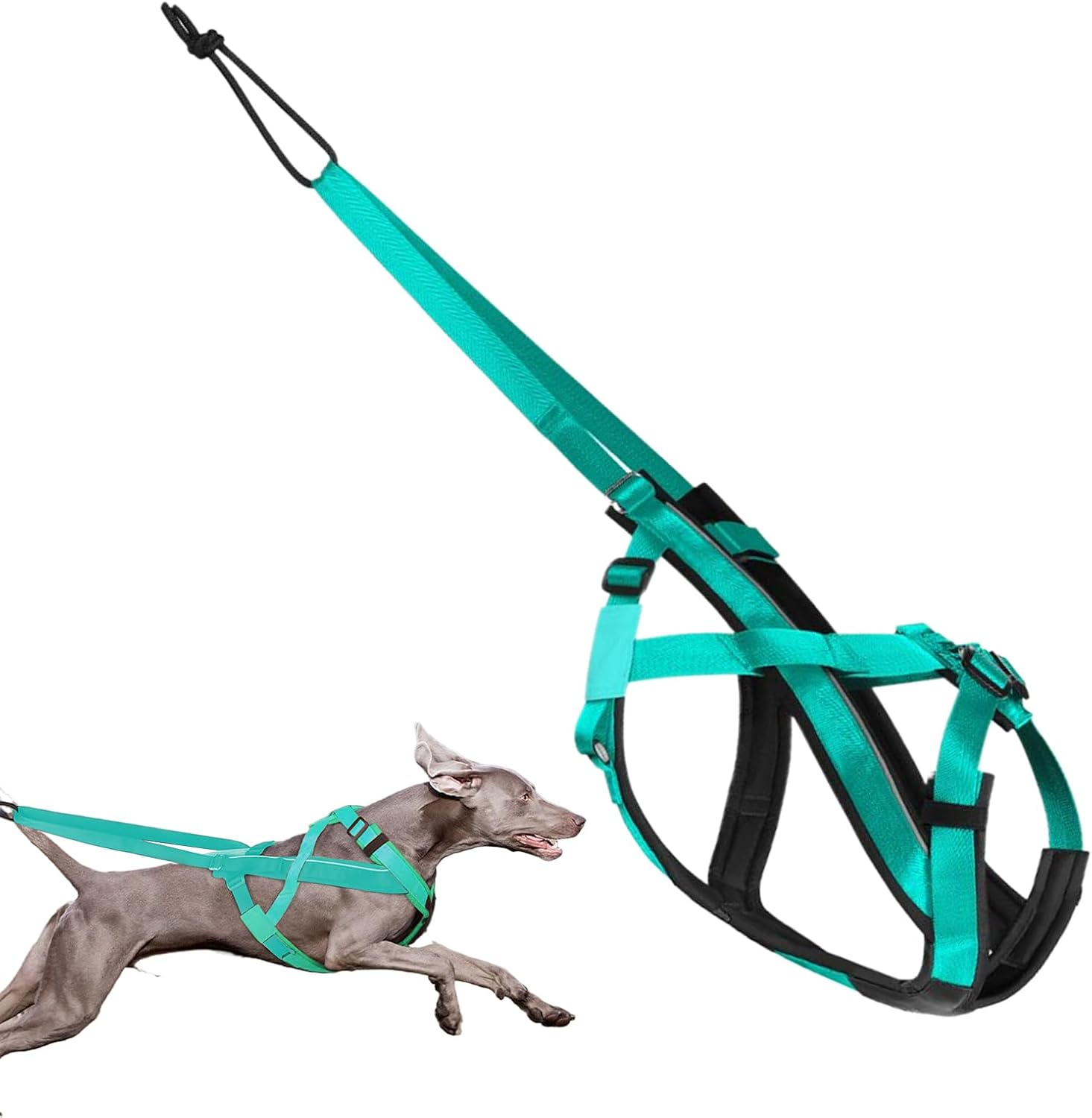 Pulling Harness for Dogs | Reflective Big Dog Harness,Comfortable Adjustable Strap for Sled Training Walking Pulling Exercise Outdoor Activities image number 4