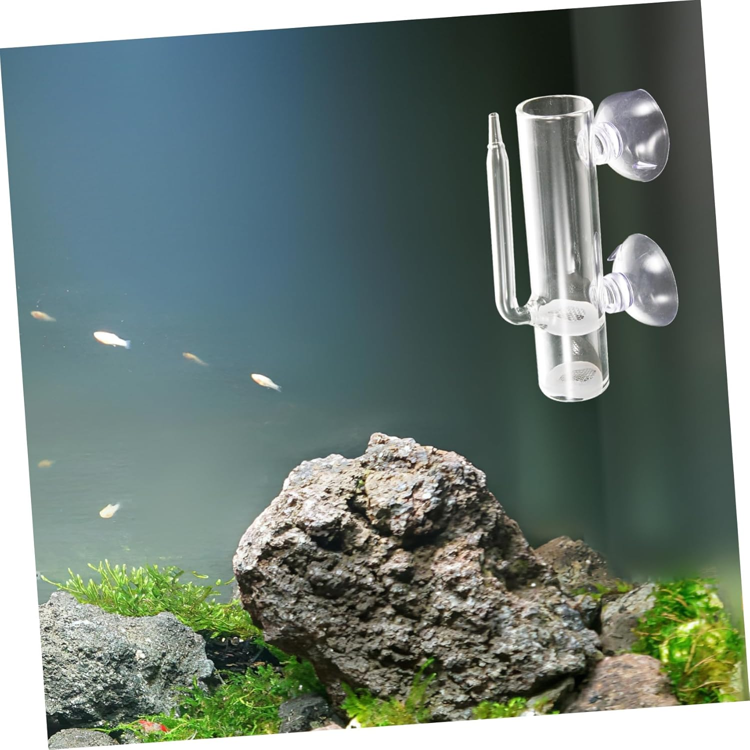 VANZACK Glass Aquarium Breeding Tube Shrimp Hatchery Kit with Filtration System Brine Shrimp Incubator for Fish Isolation and Egg Rearing Suitable for Aquatic Pets and Aquarium Use image number 5