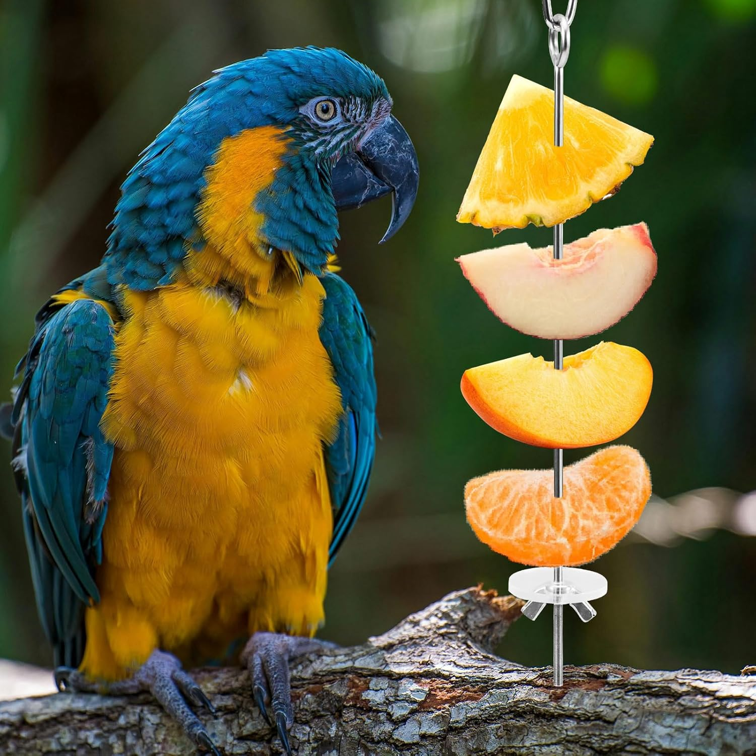 LELE LIFE 5 Pcs Hanging Bird Cage Feeder Parrot Fruit Vegetable Skewer Stainless Steel Parakeet Budgie Bird Cage Accessories image number 3