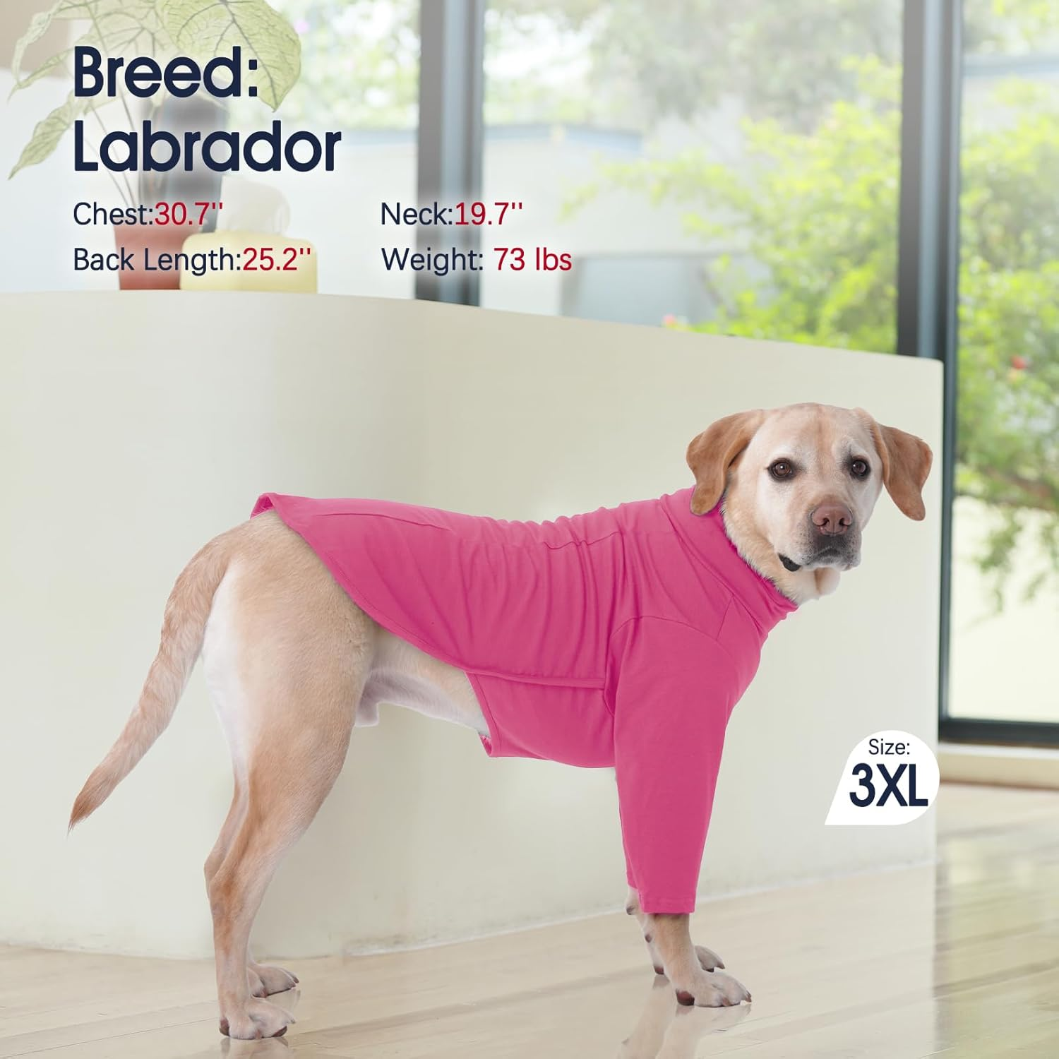 Iecoii Dog Shirts for Large Dogs,Soft Dog T-Shirt for Spring Fall,Pullover Shirts for Dogs Girl Boy,Extra Large Dog Pullover Shirt Full Coverage Large Dog Shirt for Doberman, Great Dane,Rosered,4Xl image number 6