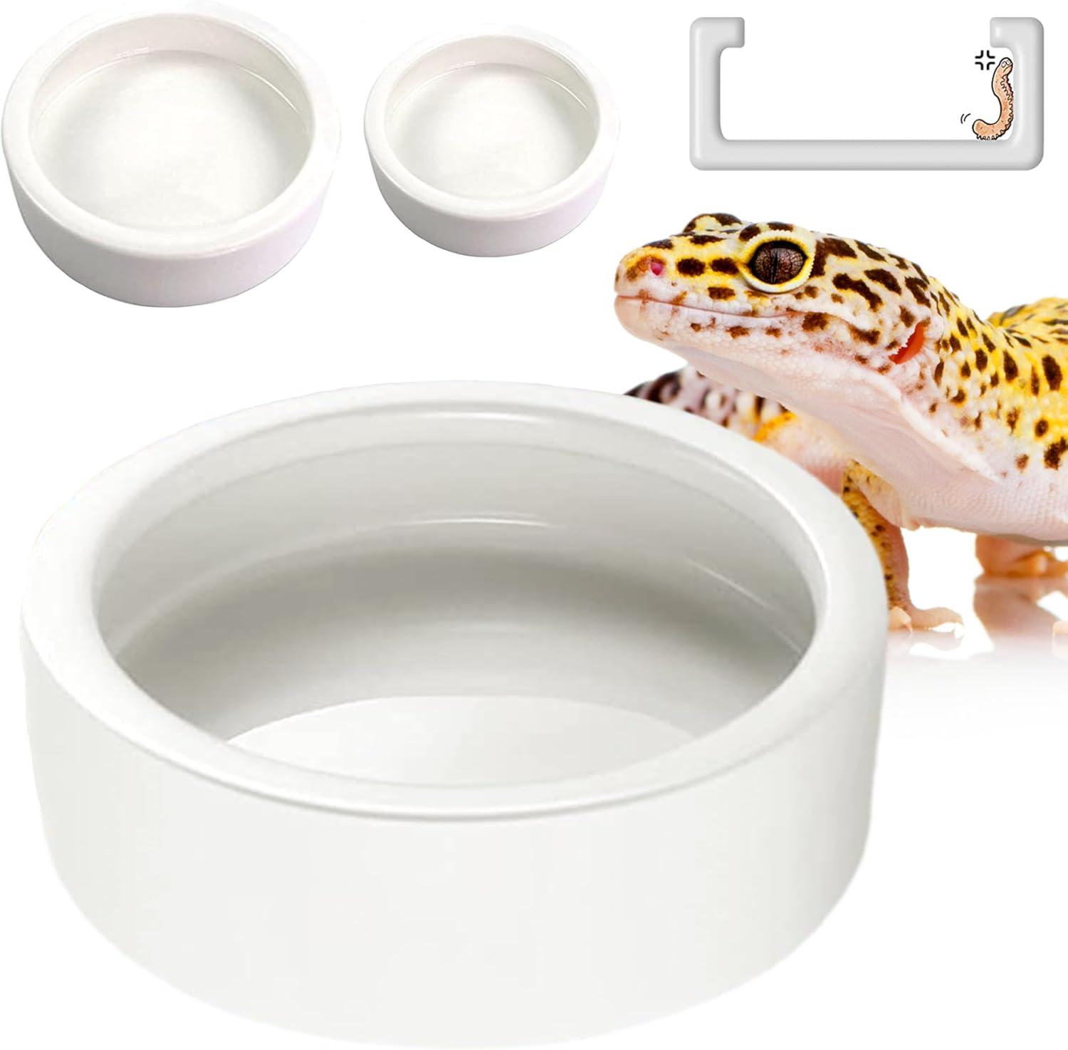 Reptile Worm Dish Bowl - Anti-Escape Ceramic Worm Dish Feeder for Lizard, Leopard Gecko, Bearded Dragon, Chameleon, Skink, Tegu, Snake, Mealworm, Superworm, Dubia Roaches (Large, Black)