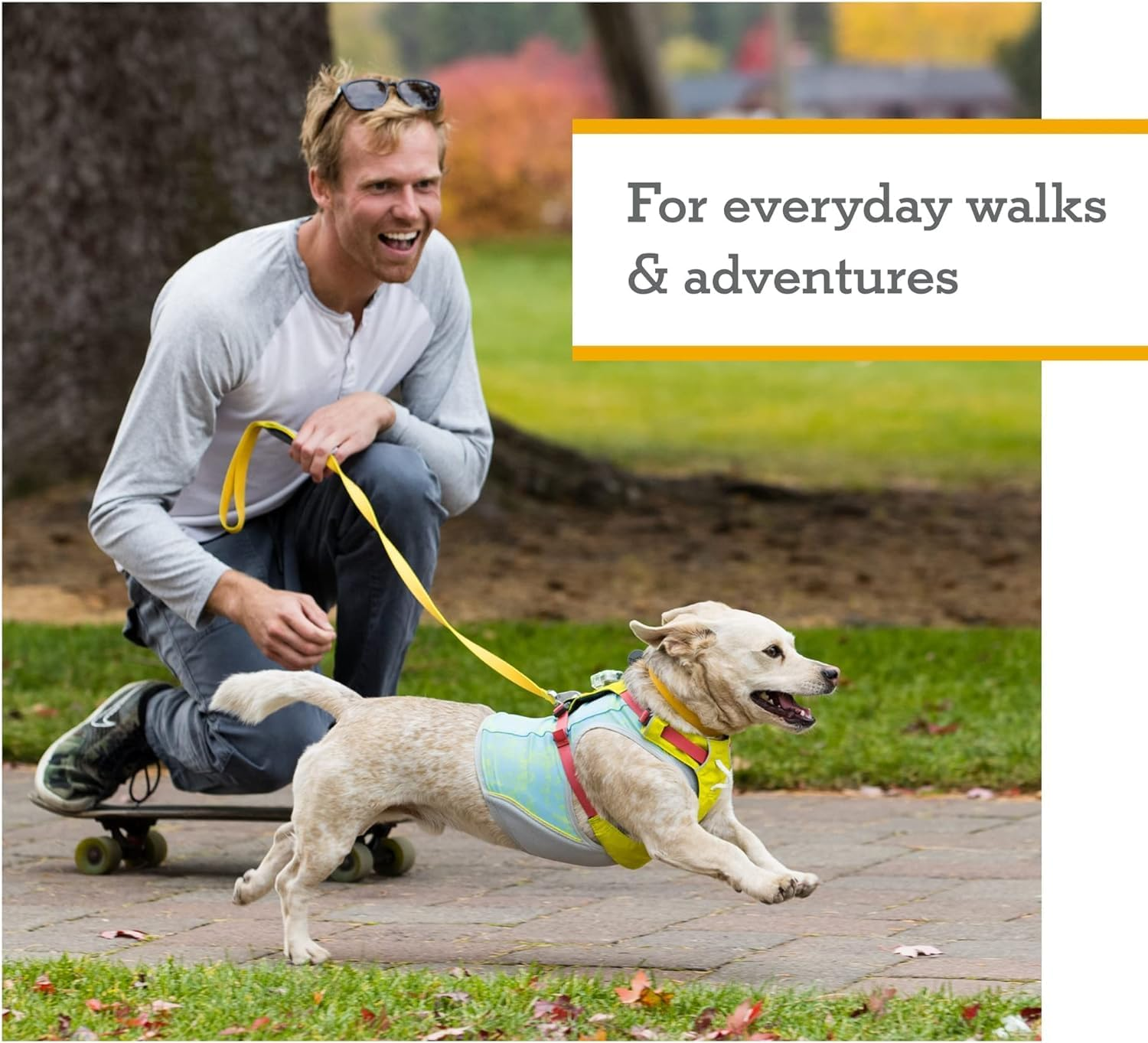 RUFFWEAR Hi & Light Dog Harness, No Pull Harness for Dogs Small, Medium Large & XL. Fully Adjustable Lightweight Harnesses with Aluminium Lead Attachment Portal & ID Bag, Light Green (M, 69-81 Cm)