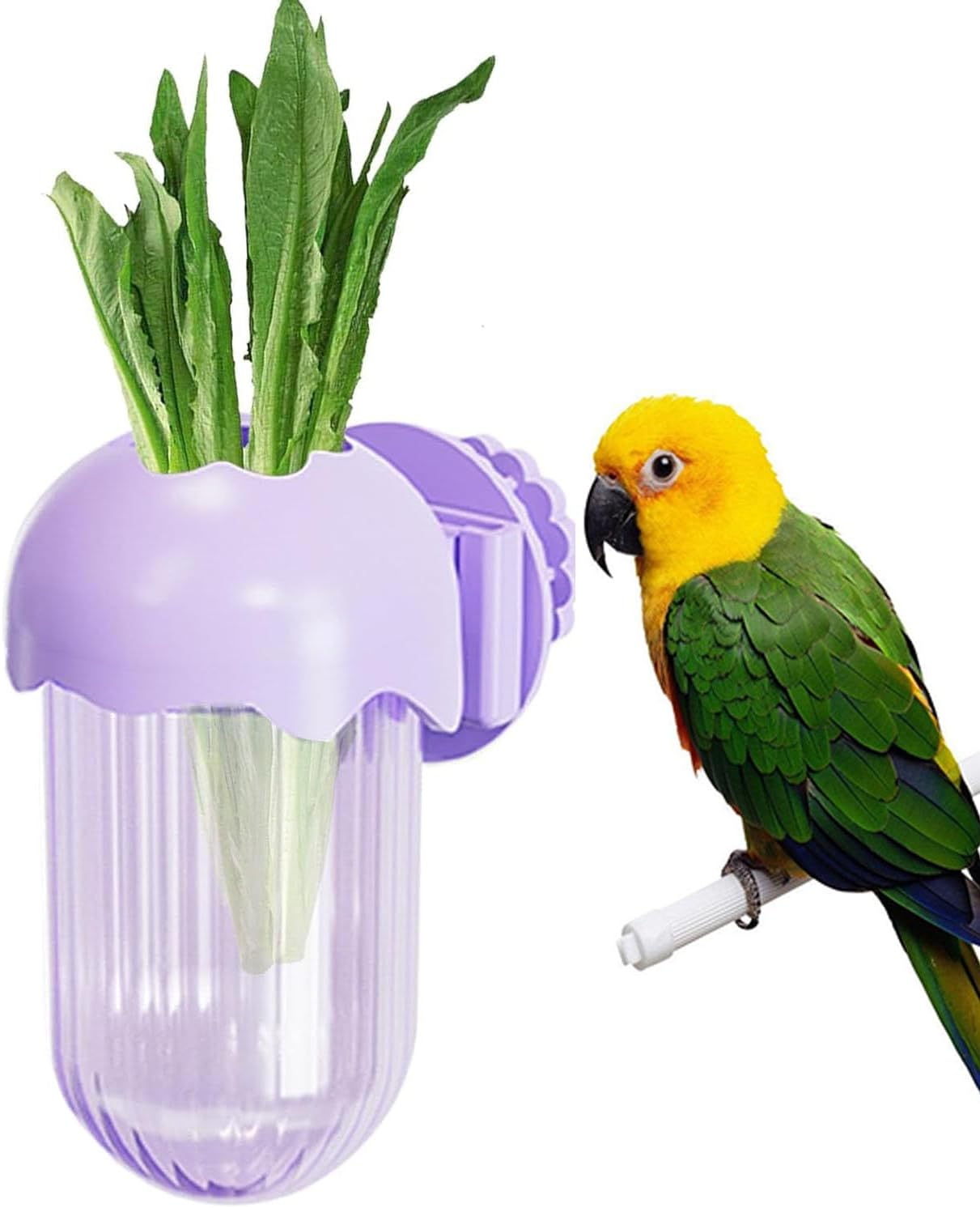 Limcryspp Bird Food Plate Cage, Bird Feeding Cup, Water and Food Container Clamp, Feeding Bowl Macaw Finch, Budgerigar, Parrot(A) image number 4