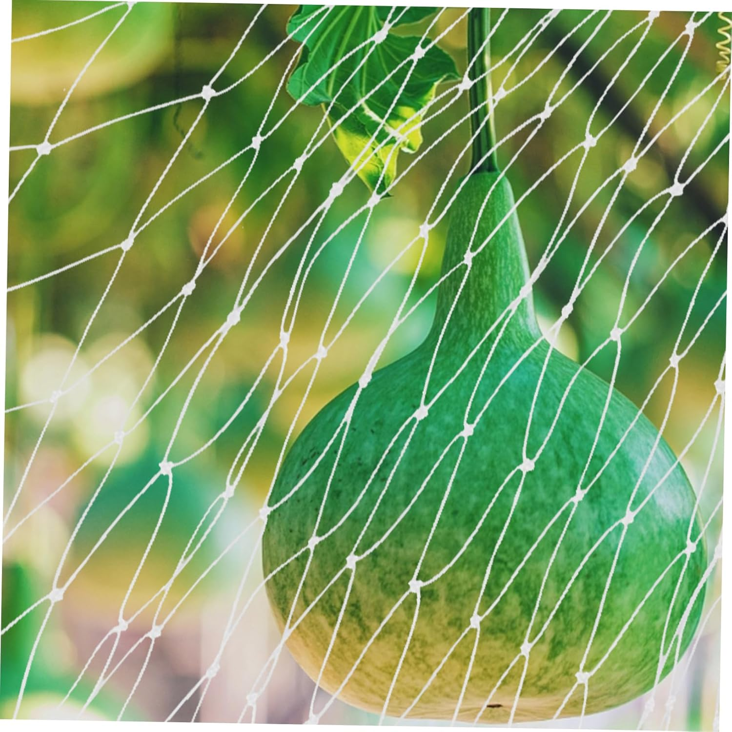 Kisangel Vegetable Garden Netting 10M X 10M Lightweight Nylon Mesh Bird Protection Tear Resistant Suitable for Orchards Farms and Plant Beds image number 3