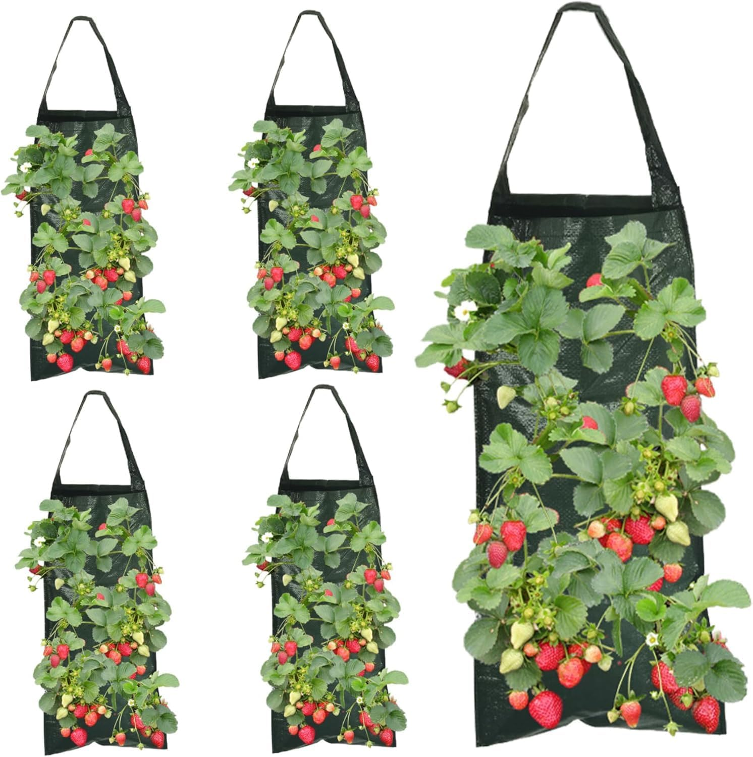 Hanging Strawberry and Tomato Planter Bags, 4Pcs 8 Hole Upside down Tomato Planter Hanging Bag with Handle,Upside down Tomatos Plant Hang Bag Strawberry Grow Bag image number 4