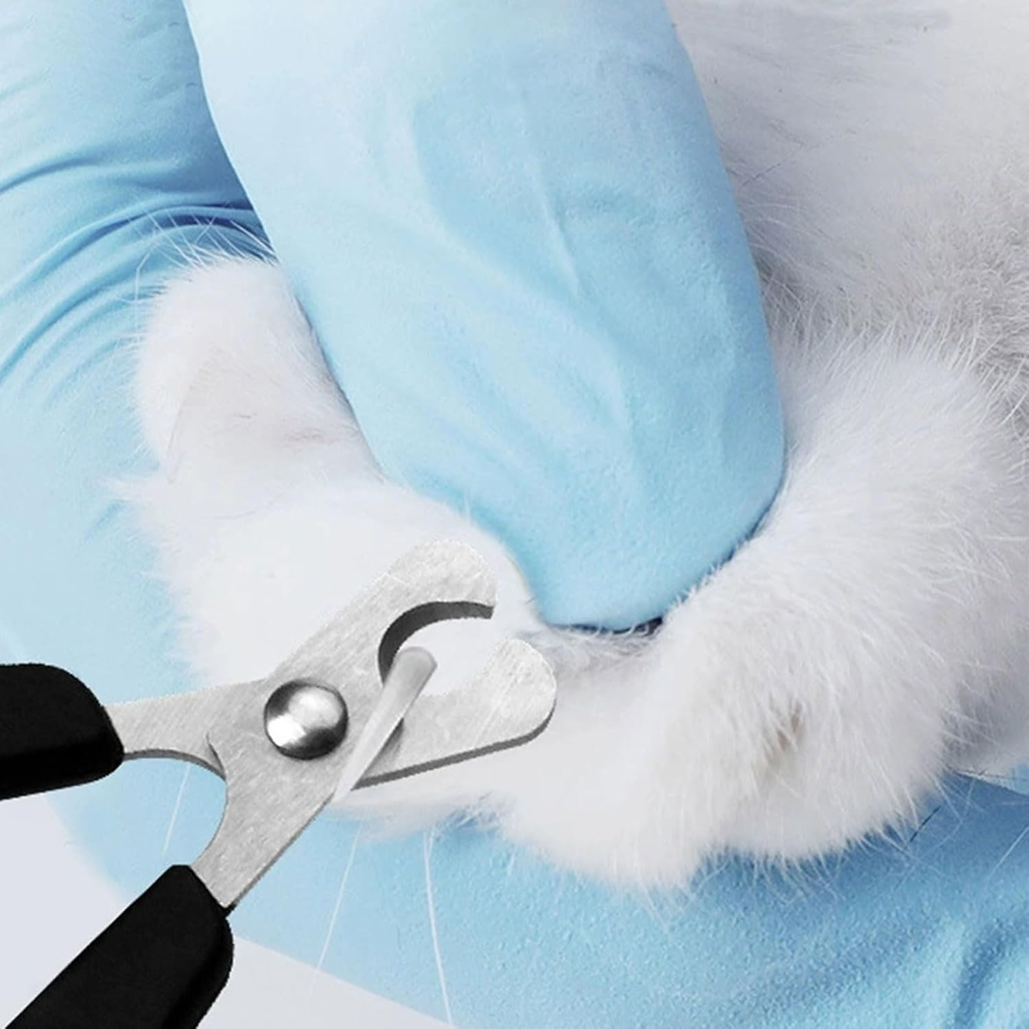 BGENHPON Cat Nail Clipper - Premium Stainless Steel Trimmer for Safe Painless Nail Cutting, 1 Piece, Suitable for Cats, Kittens, Puppies, Birds, Small Pets image number 4