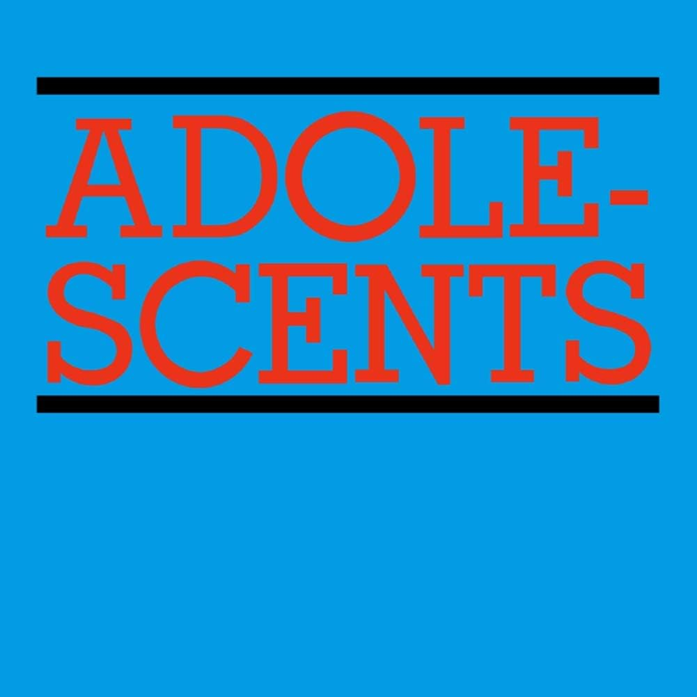 Adolescents Welcome to Reality