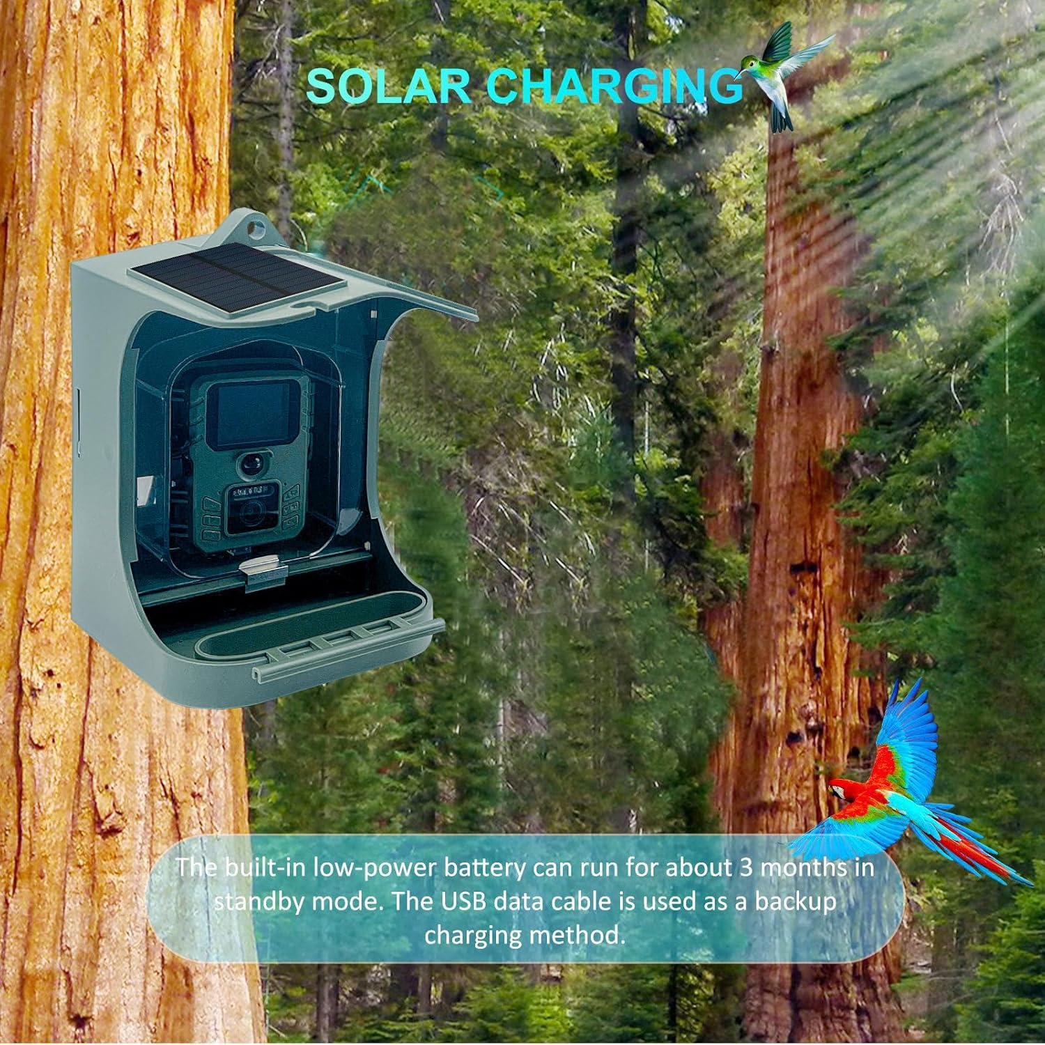 Mingzhe Solar Powered 1080P Wireless Wifi Smart Bird Feeder Camera Waterproof Bird Watching Camera image number 1