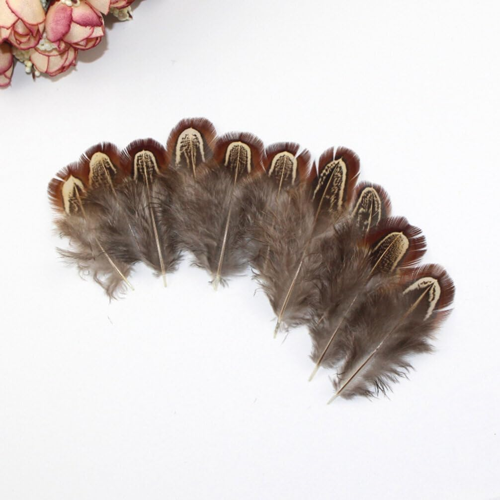 Tofficu Feathers Natural Crafts : Feathers for Crafting - Pheasant Feathers for Dream Catcher DIY Craft Projects image number 3