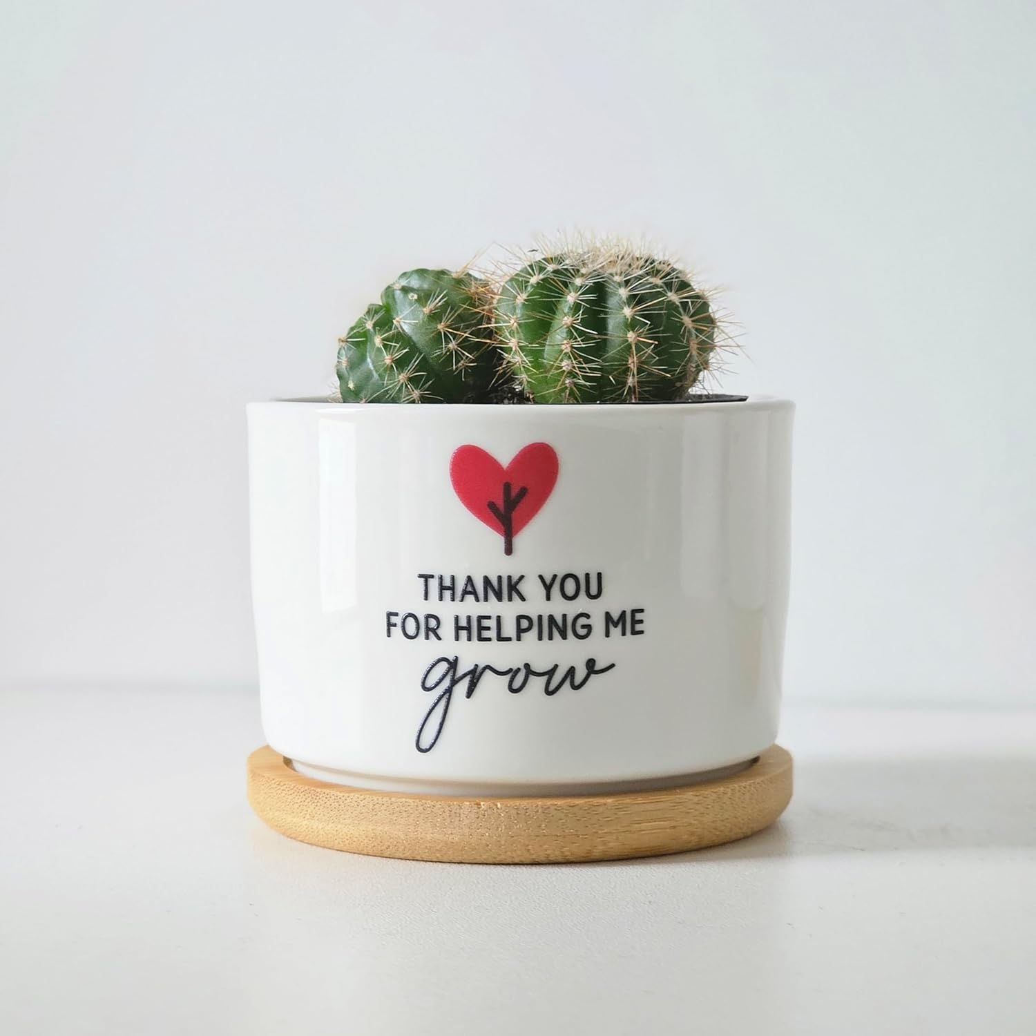 Ceramic Planter Pot with Bamboo Saucer, Thank You for Helping Me Grow Heart Design, Ideal for Succulents, Cacti, and Mini Plants, Teacher Gift image number 4