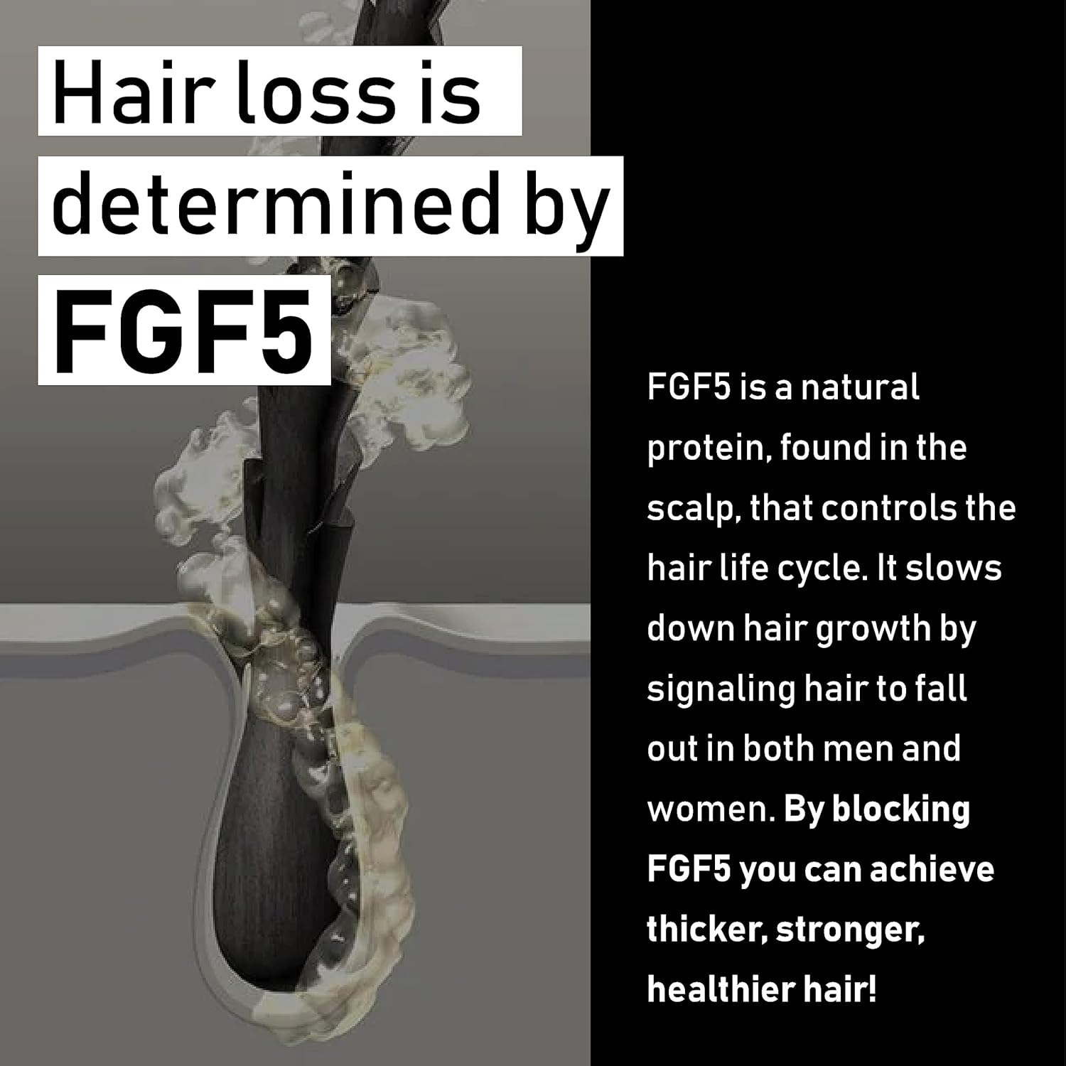 Evolis Professional Prevent Shampoo 250Ml image number 4