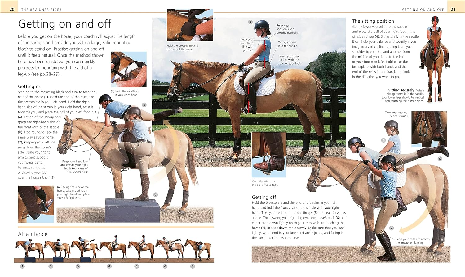 Complete Horse Riding Manual image number 3