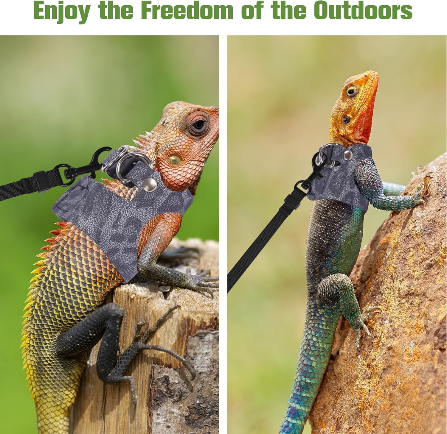 Bearded Dragon Lizard Leash Harness 3 Size Pack Leopard Print Lizard Harness Leash for Outdoor Small Reptiles Animal Squirrels (Blue) - Blue image number 2