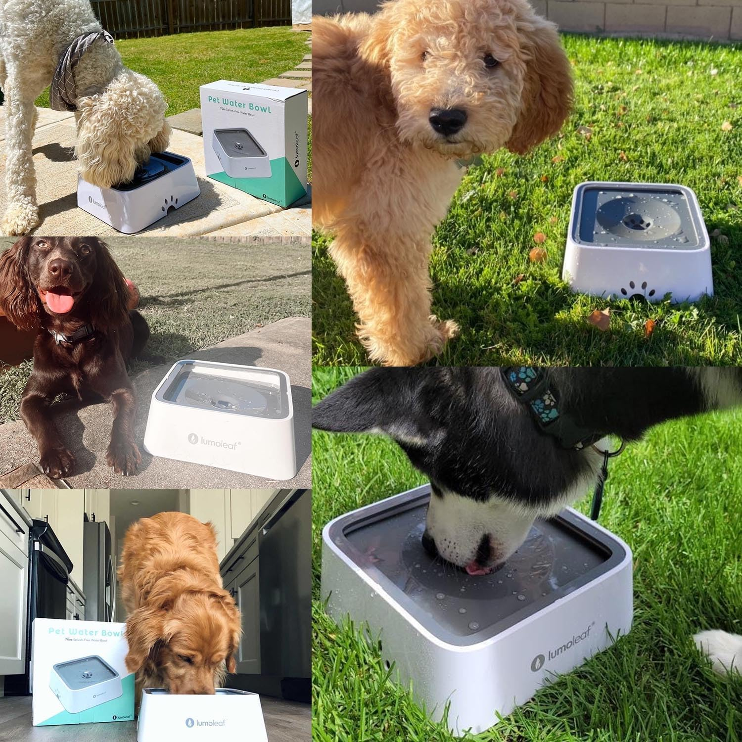 Lumoleaf No Spill Water Bowl for Dogs with Filter, 70Oz/2L, Slow Feeder for Messy Drinkers, Drip-Free & Splash-Proof Design (Grey, 70 Fl Oz) (Grey 70 Fl Oz) image number 3