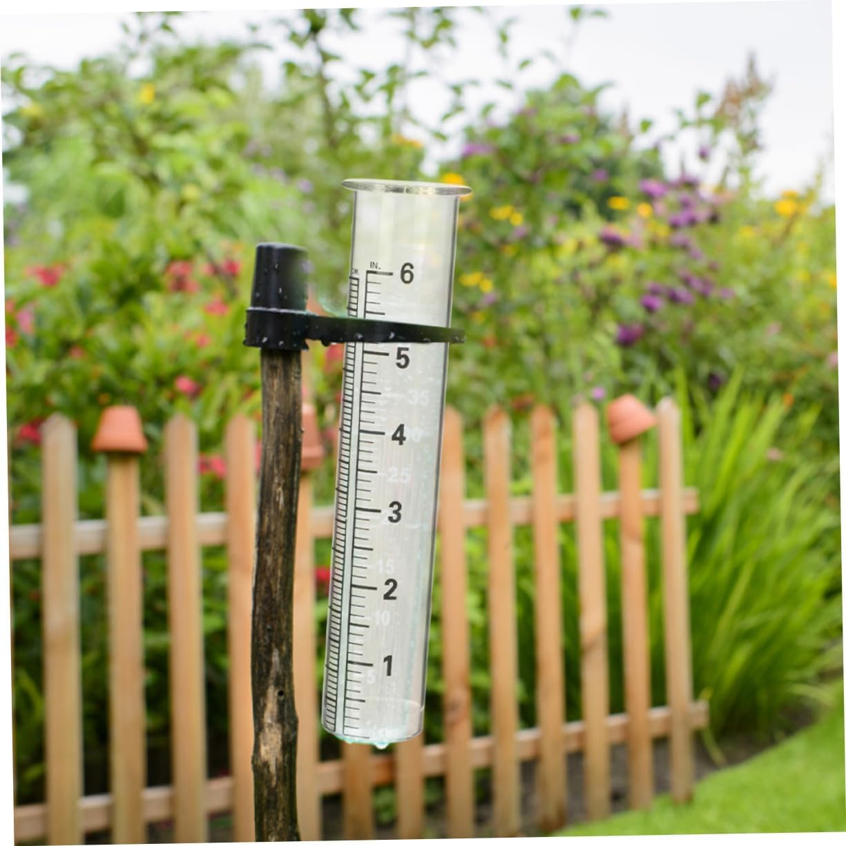 4Pcs Glass Rain Gauge Tubes with Clear Scale Rainfall Measuring Cylinders for Garden Outdoor Easy-Read Accurate Rainfall Test Tubes for Watering and Plant Care image number 5