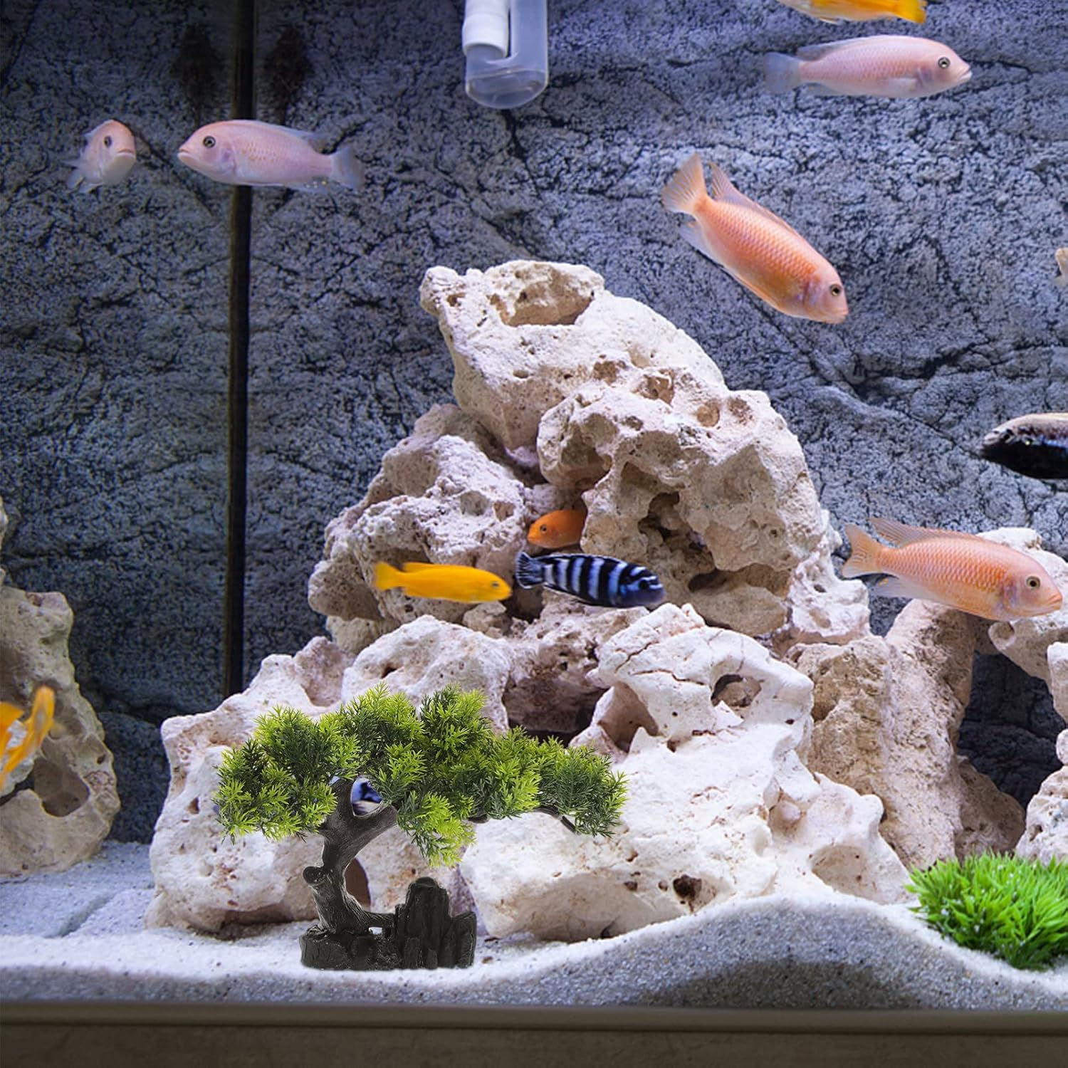 Mipcase Water Plants Decoration for Fish Bowl Aquarium Live Fresh Plants for Small Aquarium Decorations and Fish Tank Garden image number 2