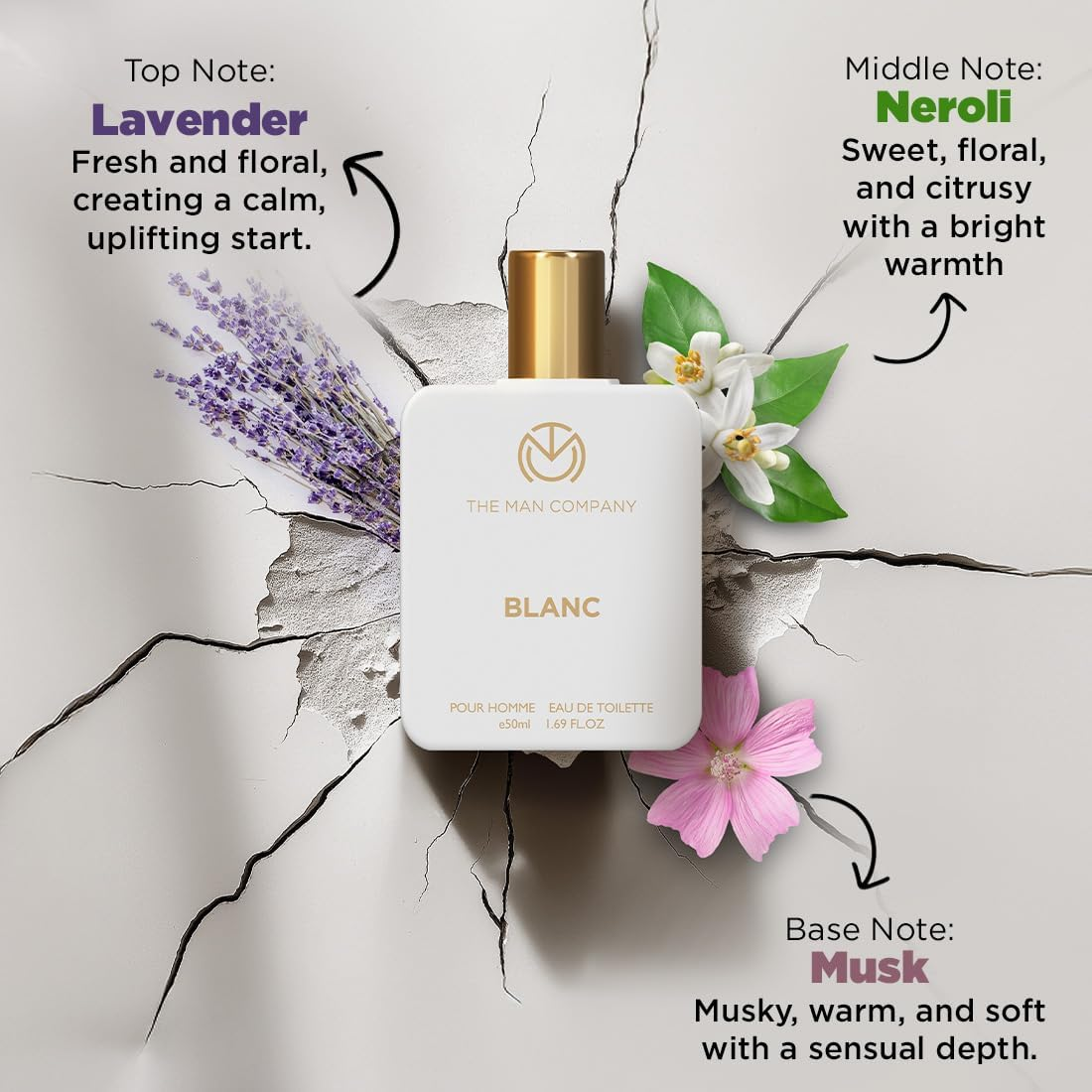 The Man Company Blanc Edt Perfume - Musk, Citrusy & Aromatic Scent for Men | Premium Long-Lasting Fragrance Spray | Eau De Toilette image number 1