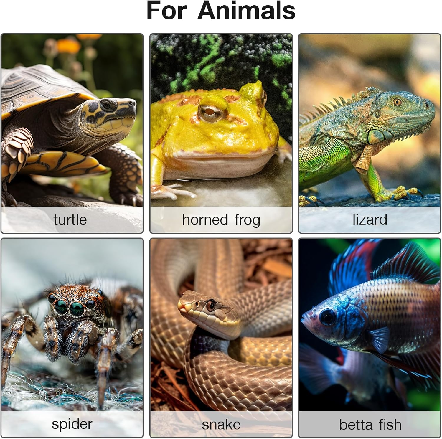 Mojimdo 50W Plant Heat Mat with Thermostat - Waterproof IP67, Fireproof V0, Energy Efficient Seedling Propagator & Warming Pad for Pets, Reptiles (25X52Cm) - 2 Pack image number 3